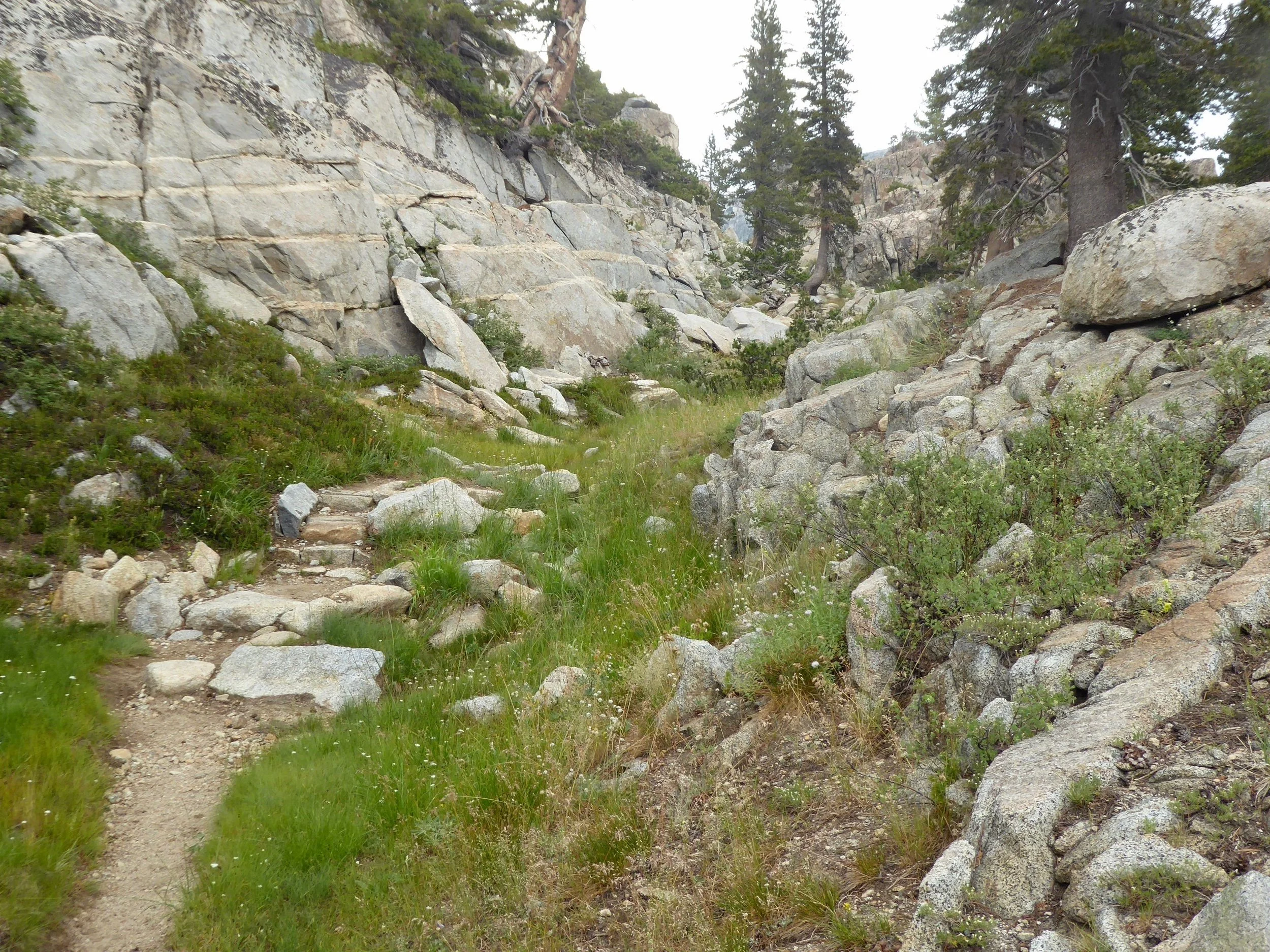 P1020225.jpg