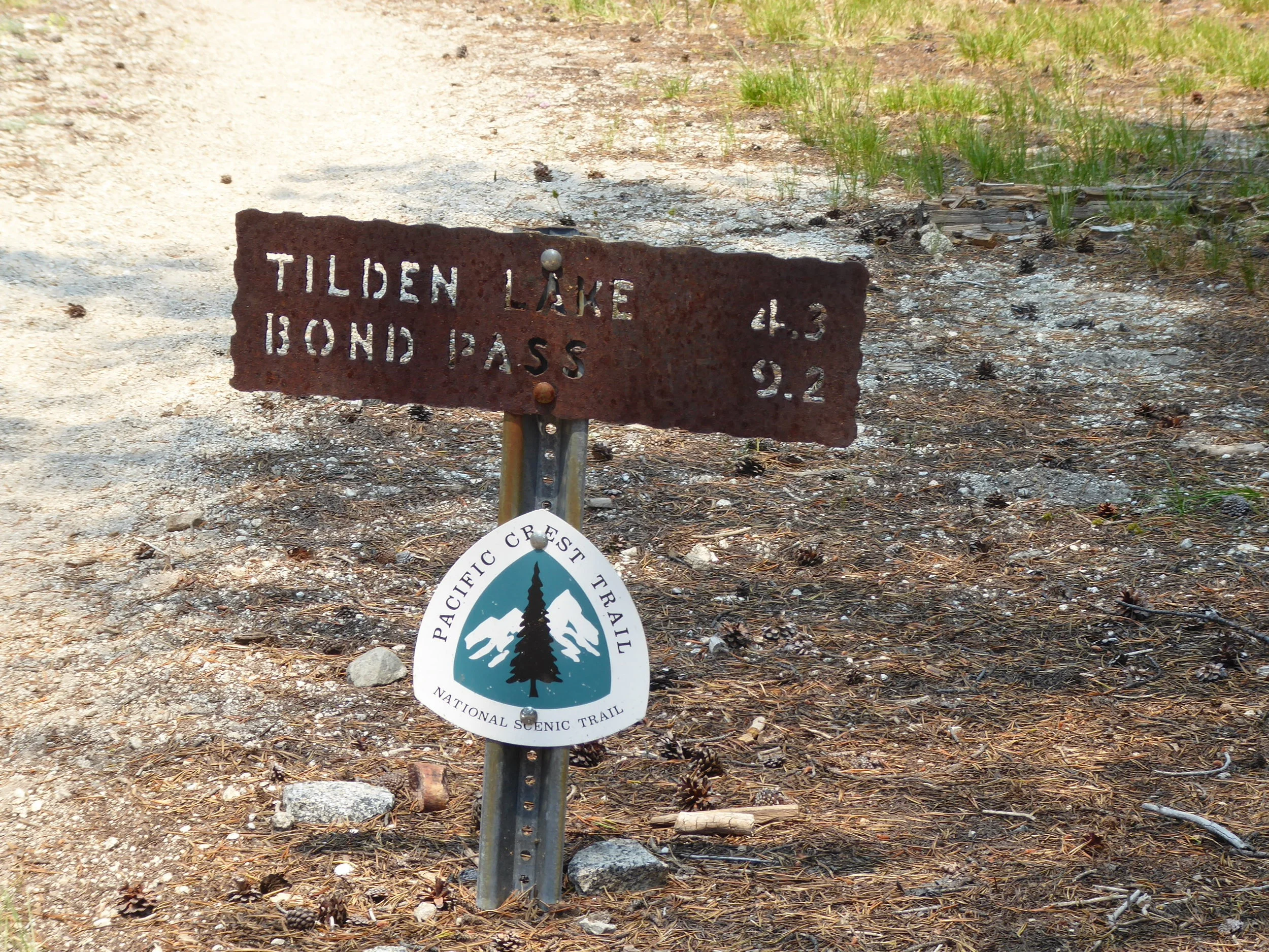P1020236.jpg