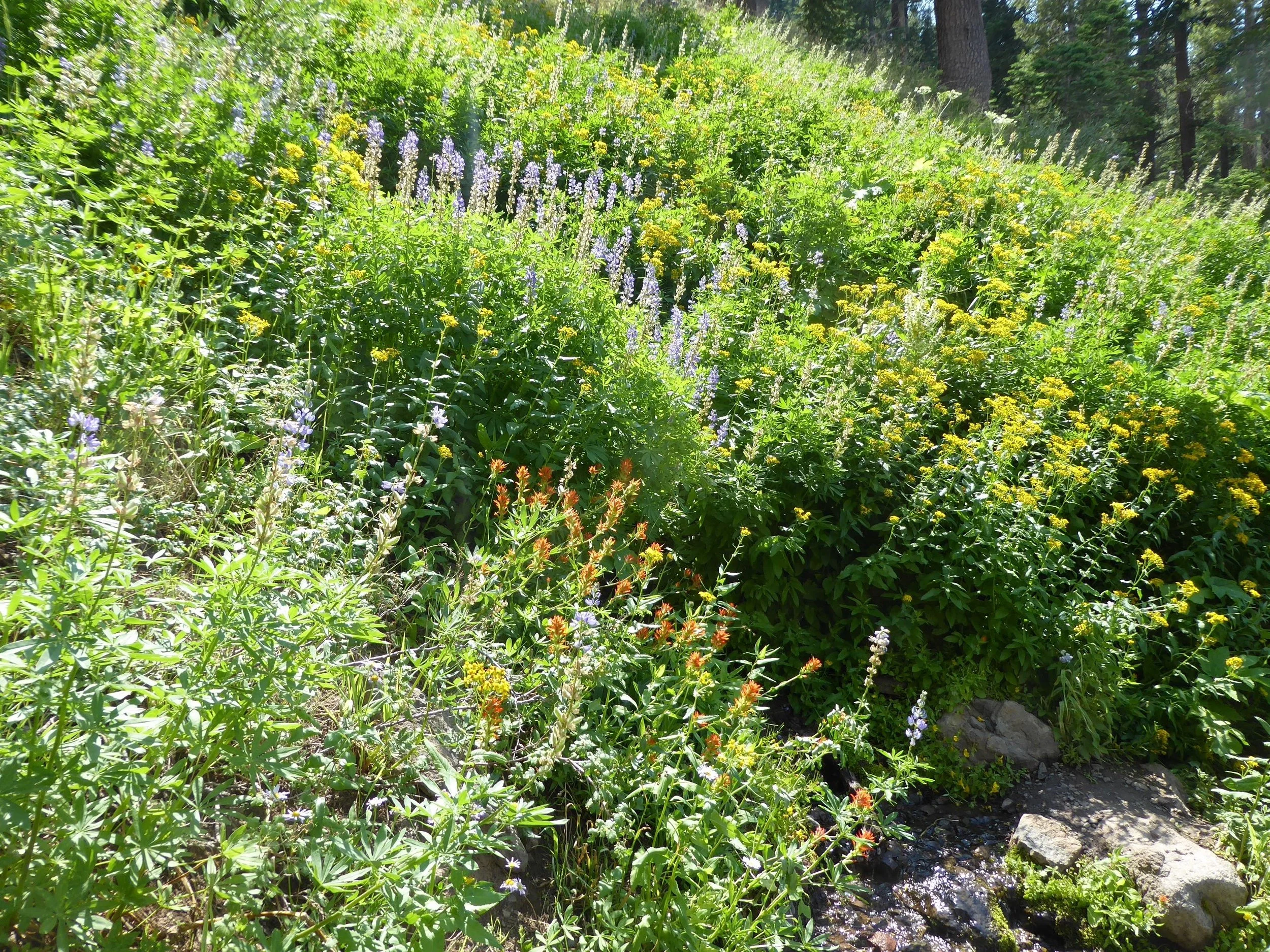 P1020320.jpg