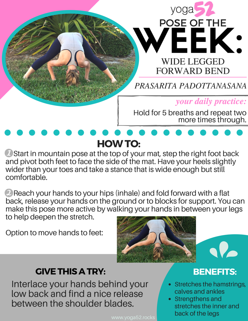 Yoga Anatomy: Wide legged Standing Forward Bend (Prasarita Padottanasana |  Om Yoga Magazine