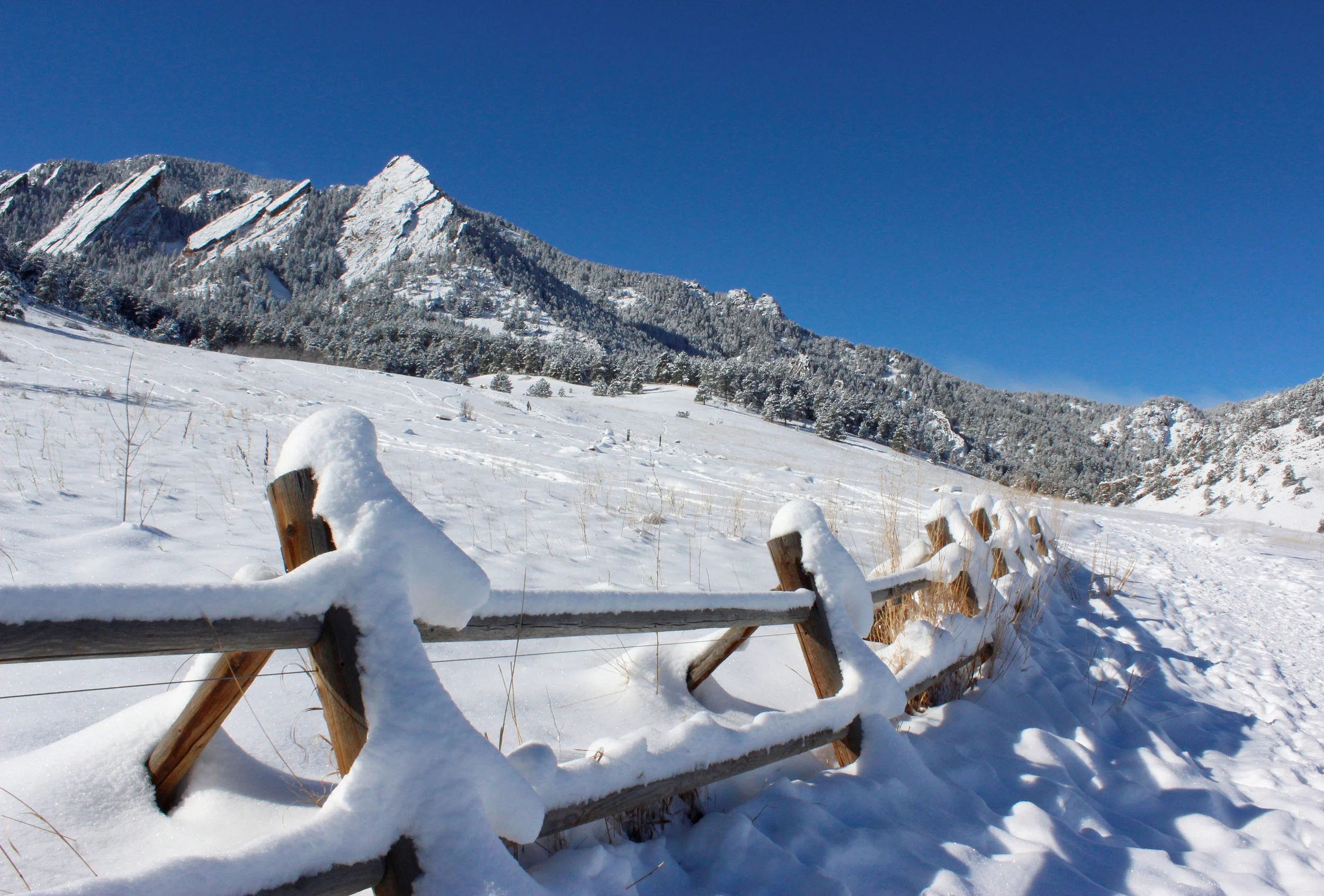 Chautauqua Park, Boulder Colorado