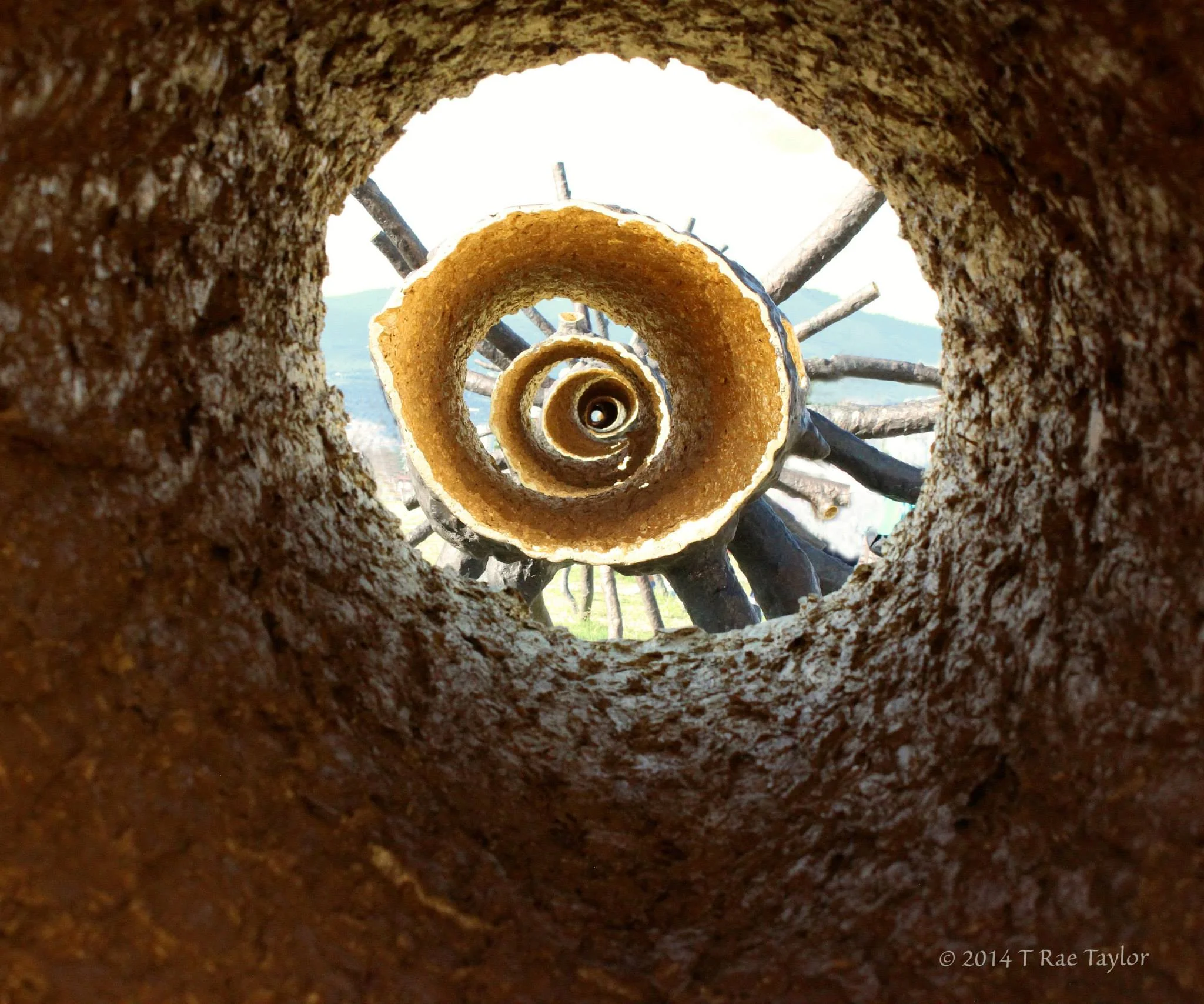 Boboli Gardens, Florence Italy