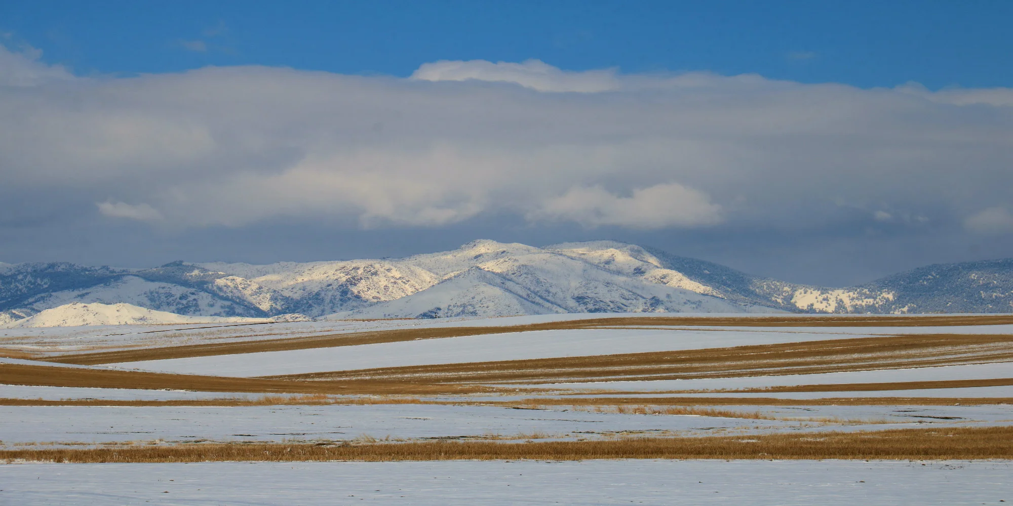Crop lines in the snow
