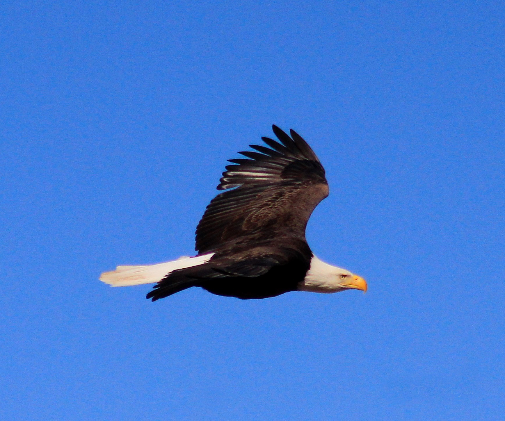 1799973_628825120505696_1407986720_o_edited-1.jpg