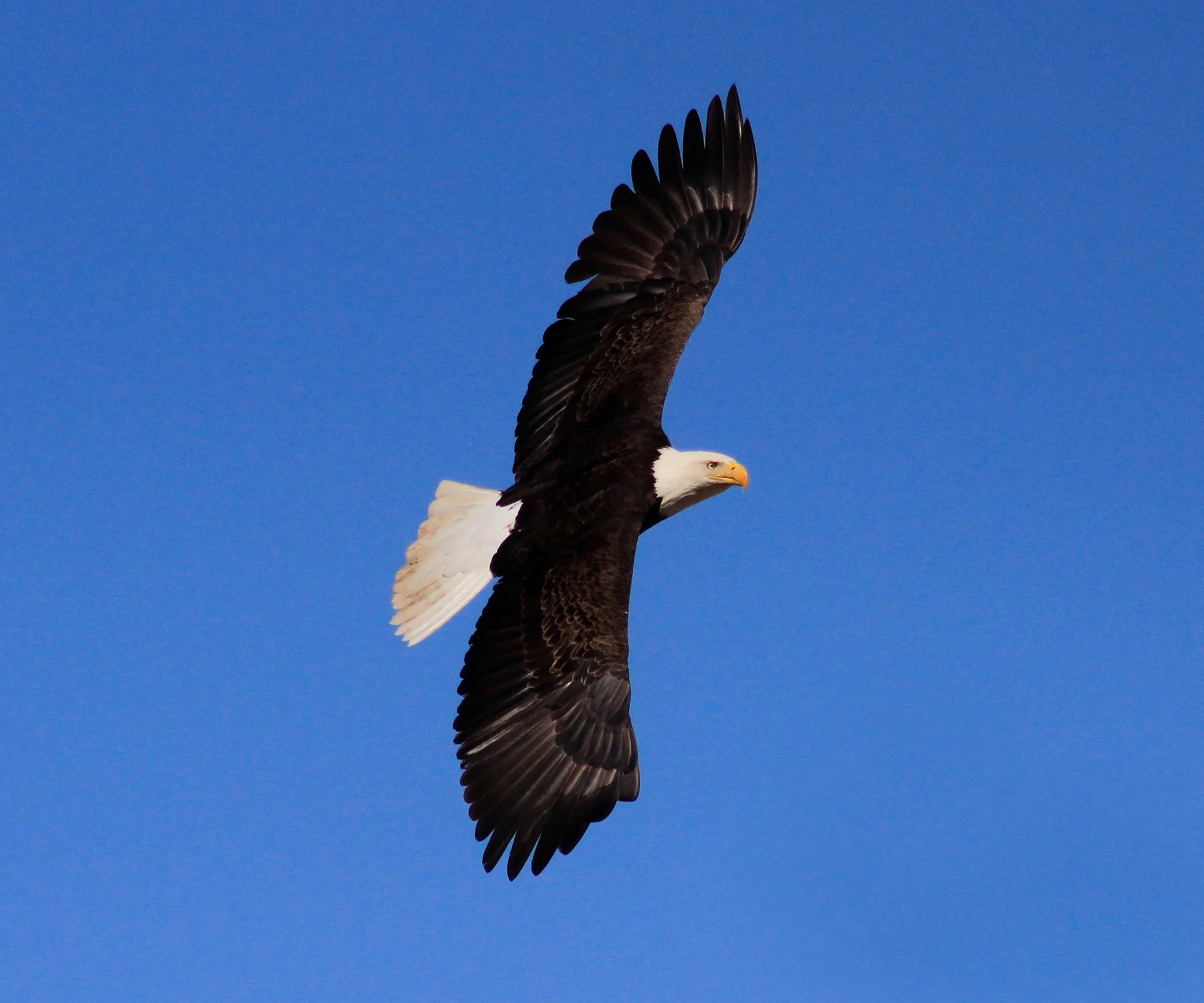 10010047_628739607180914_831410169_o_edited-1.jpg