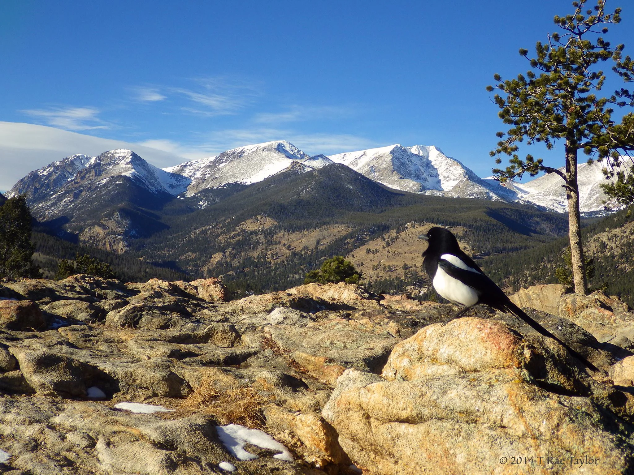 Magpie Horseshoe Park Overlook RMNP 