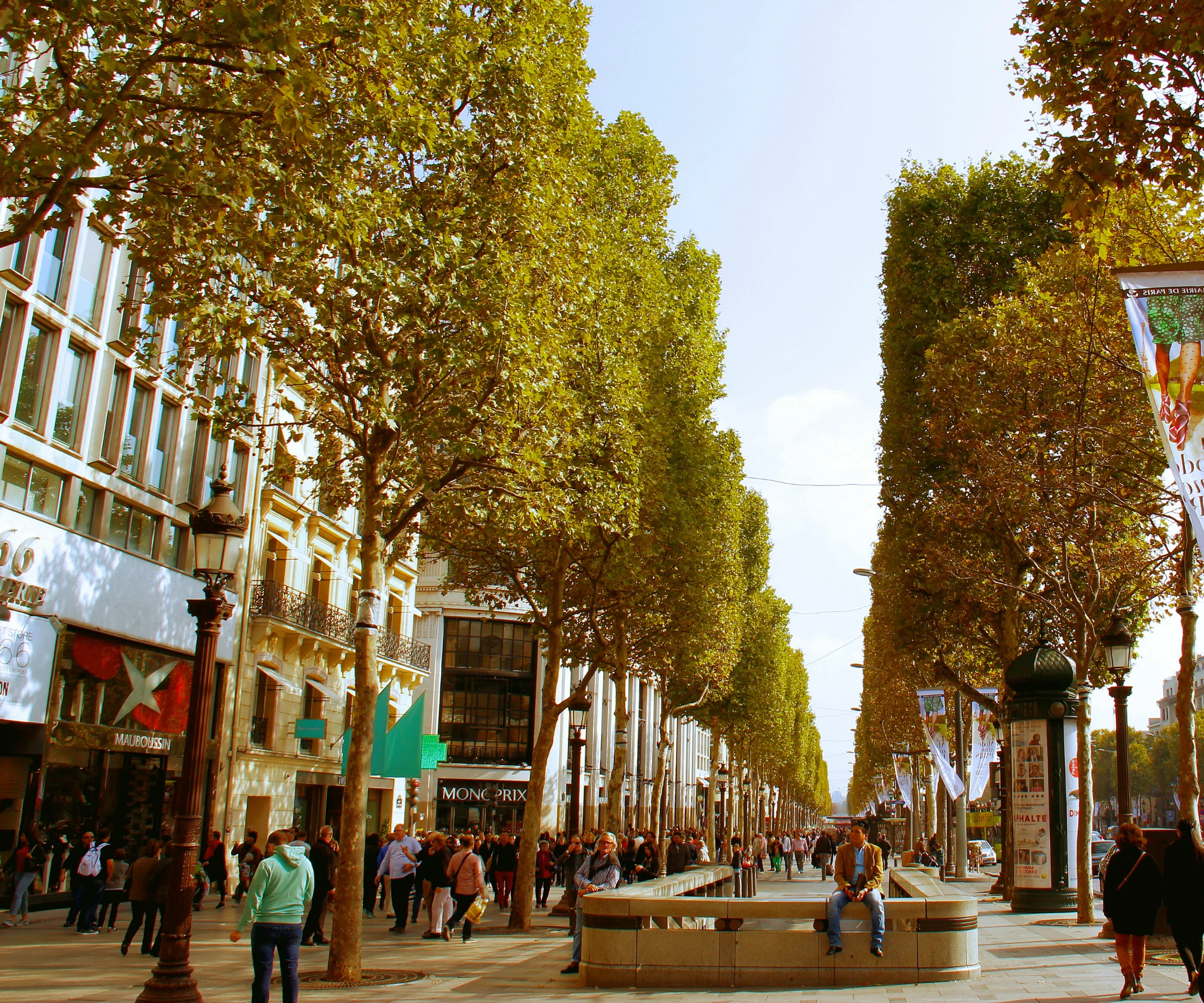 champs elesees.street.jpg