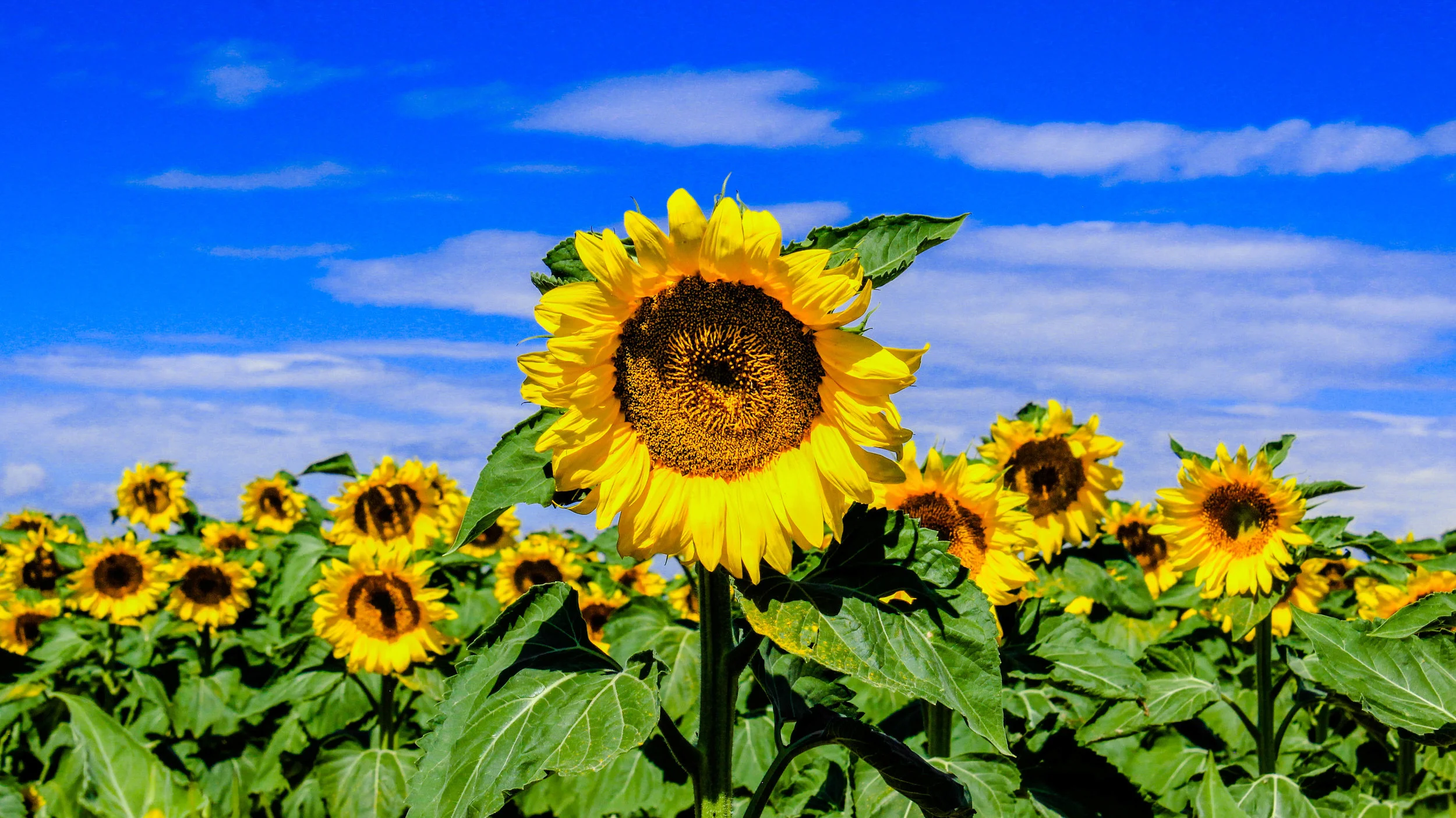 20140823-stand alone.jpg