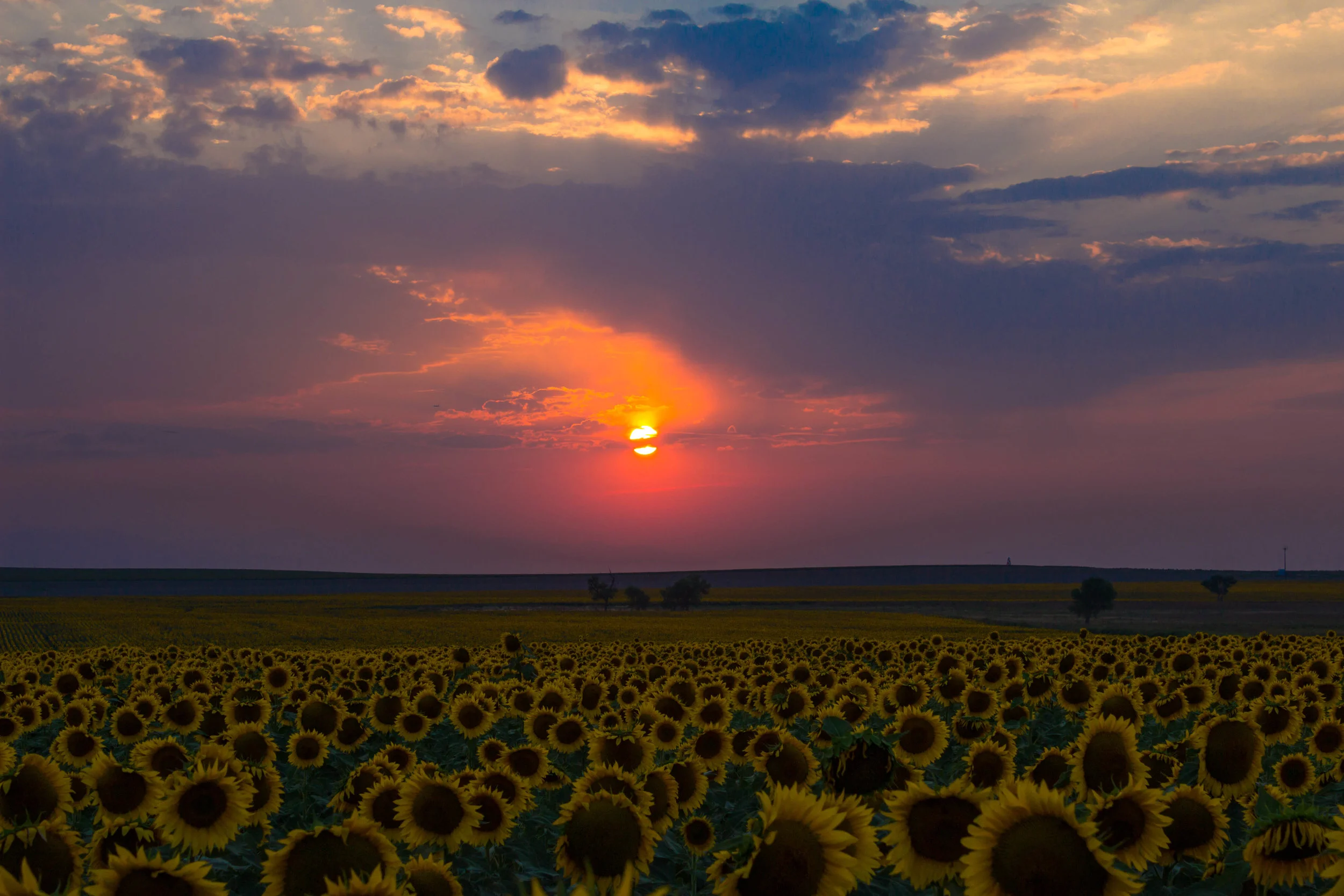 20150824-_MG_6900.jpg