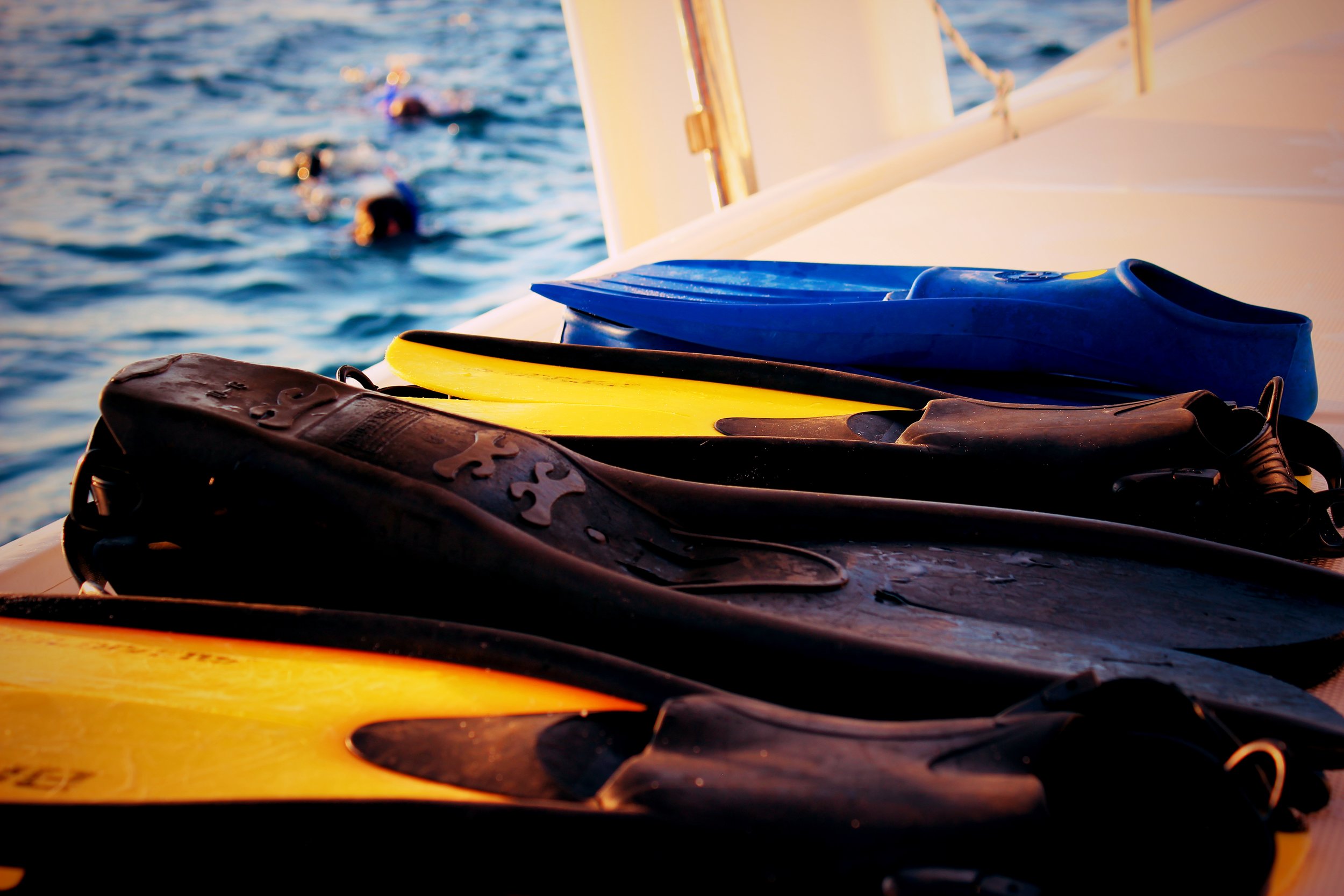 flippers snorkel.jpg