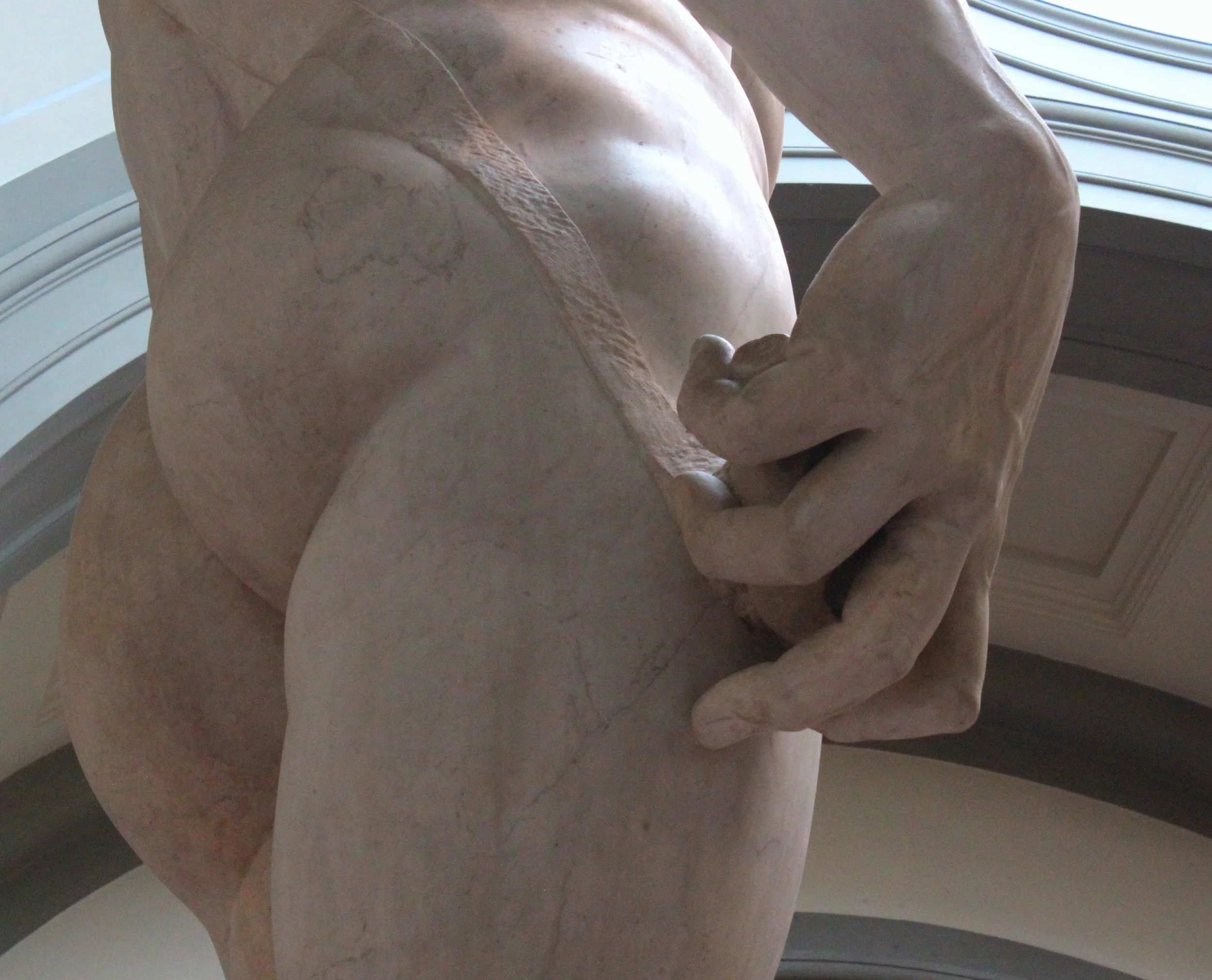 David backside.2.jpg