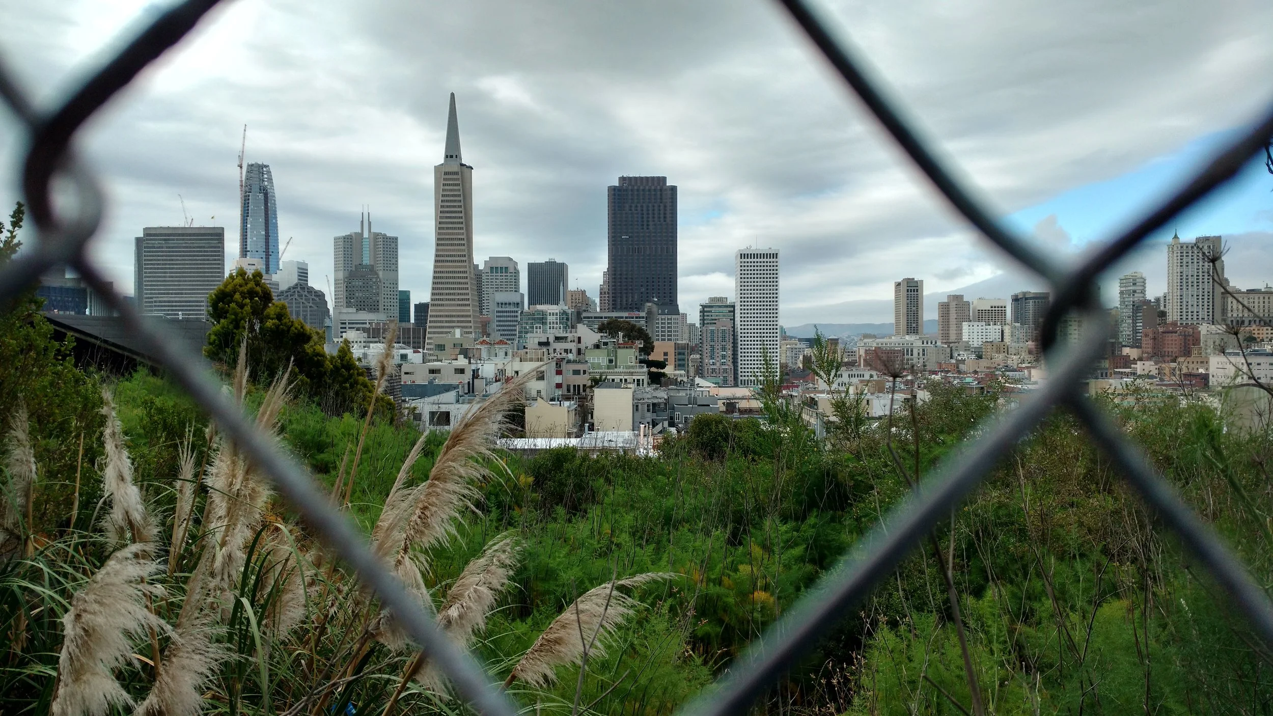 san francisco