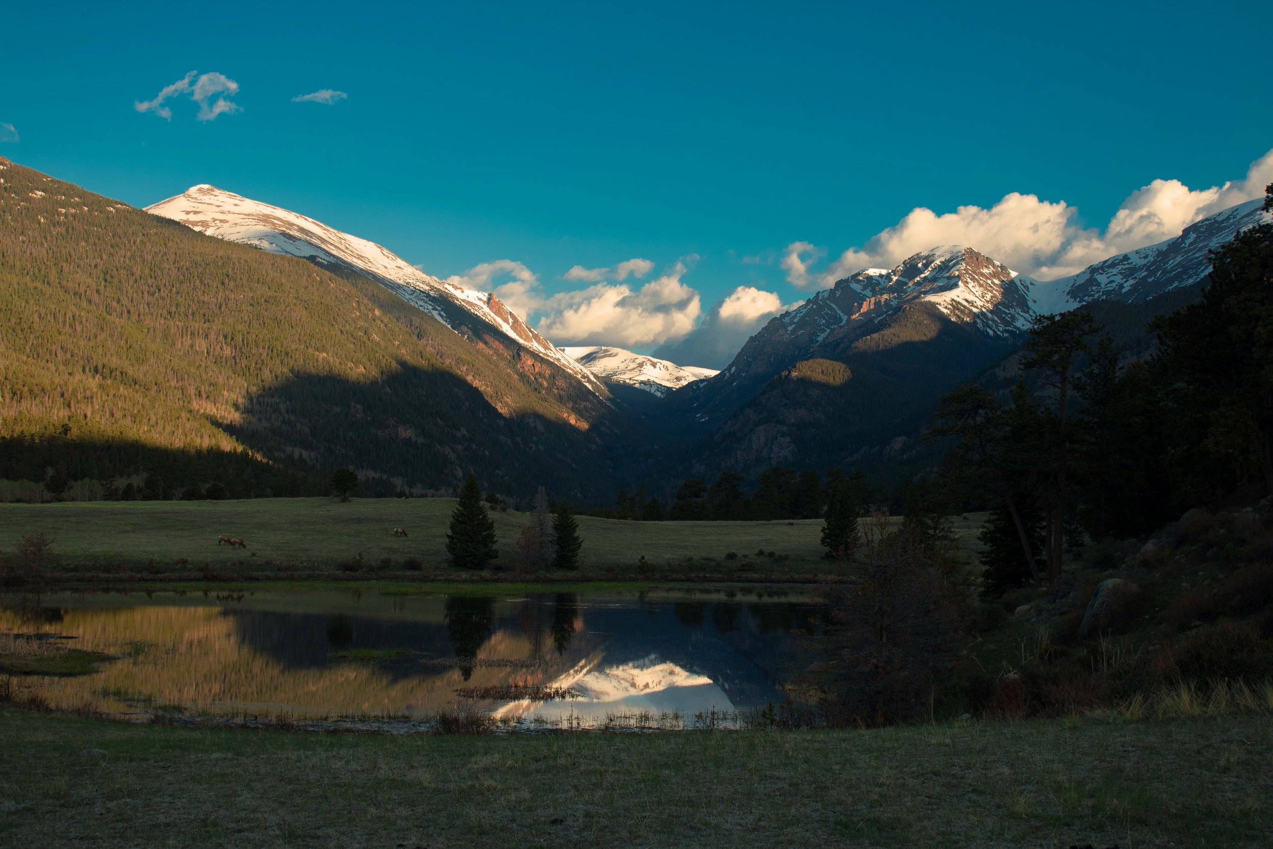 Sheep Lake RMNP colorado