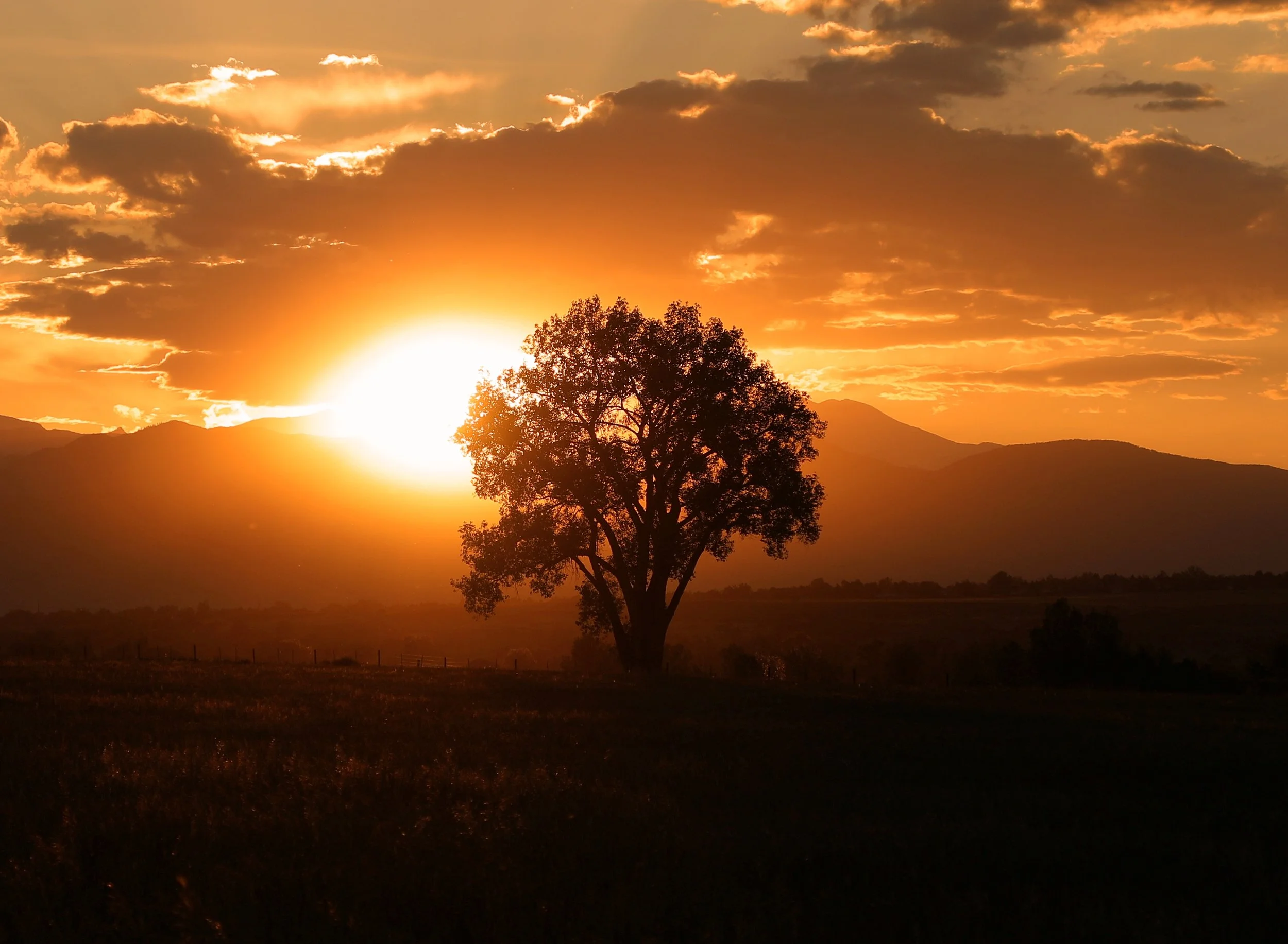 Lone Tree Boulder, Colorado