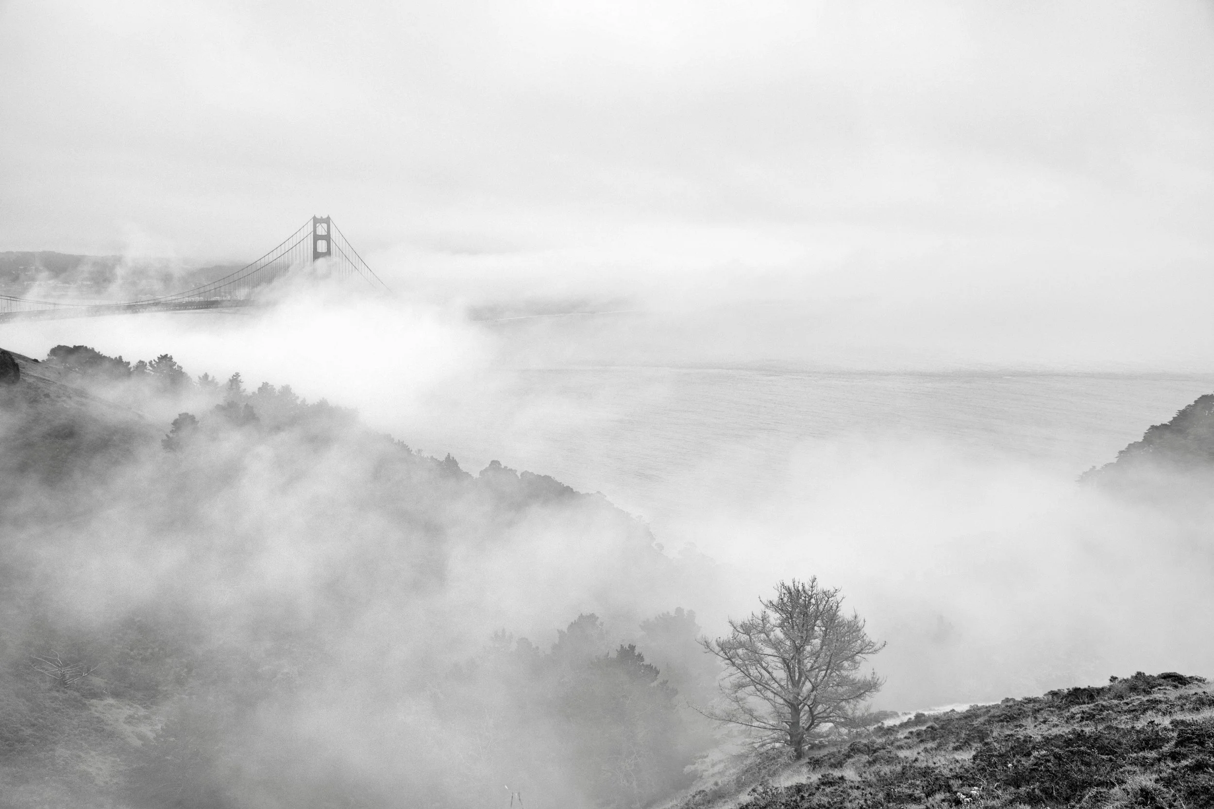 GGB Vistaprint.jpg