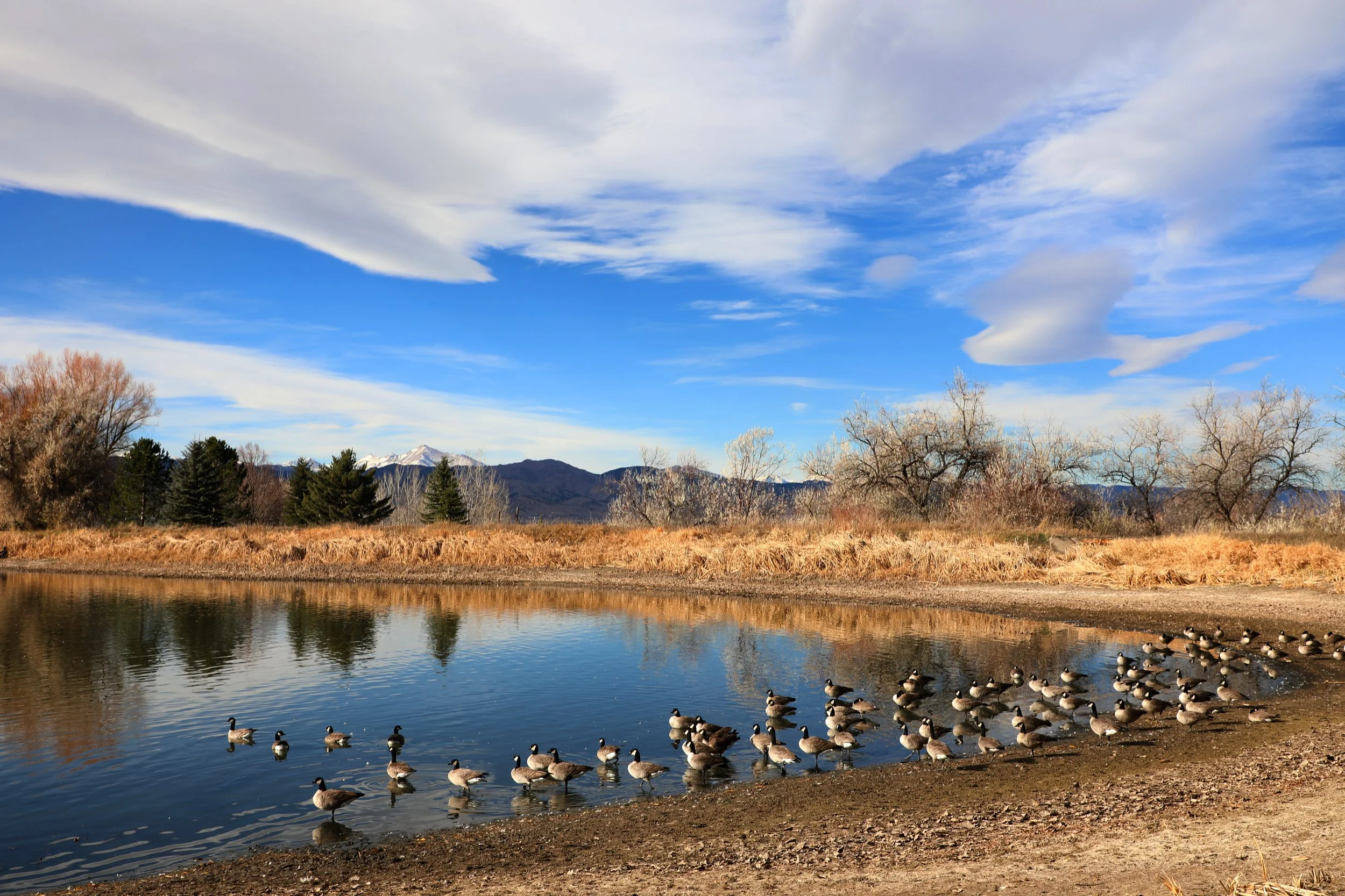 november clouds.4.jpg