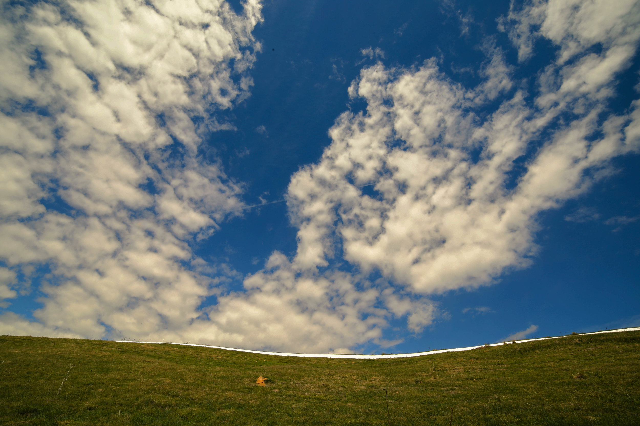 20170521-5-21 landscape 3.jpg