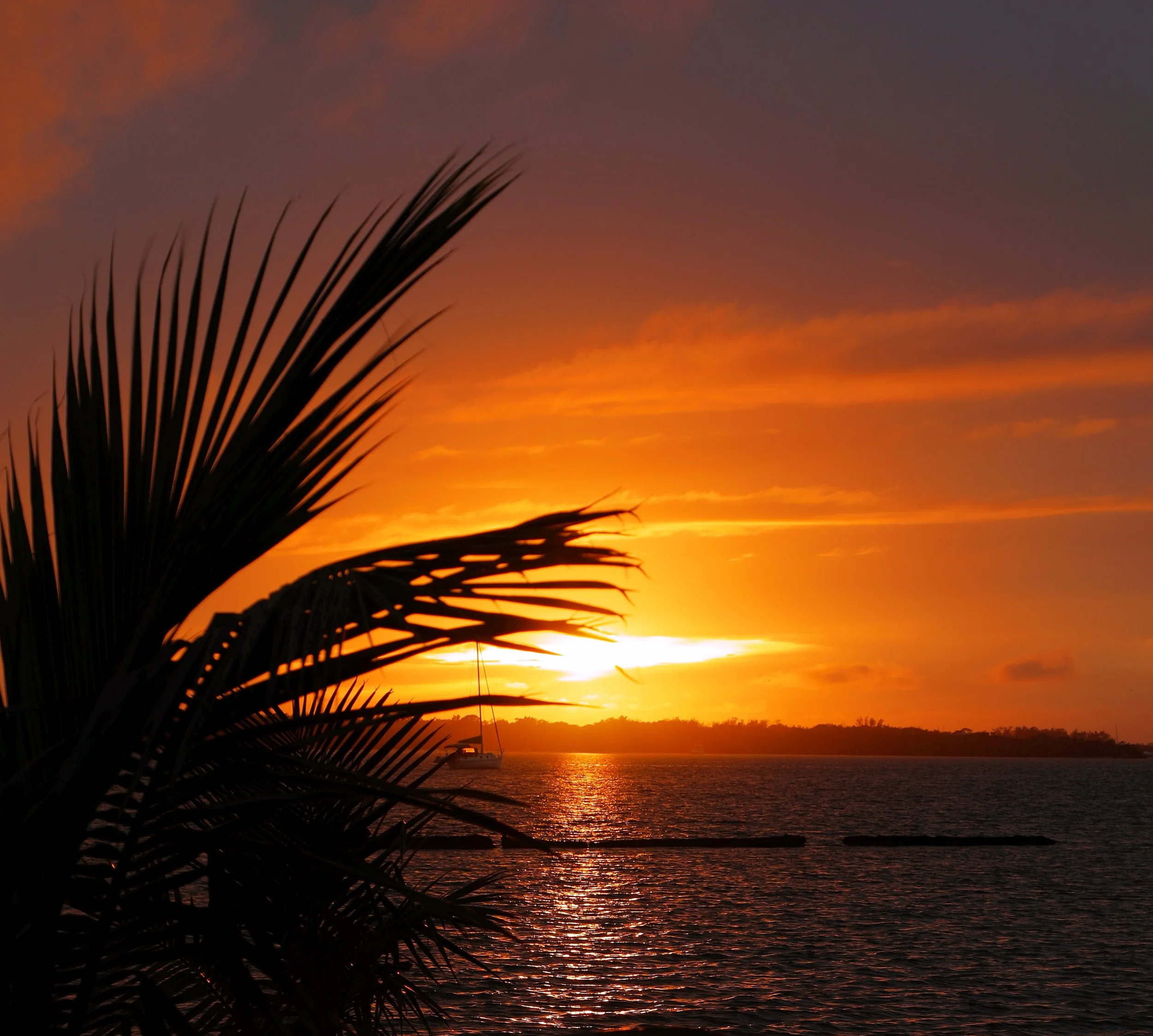 Sunset Palmetto Island, FL