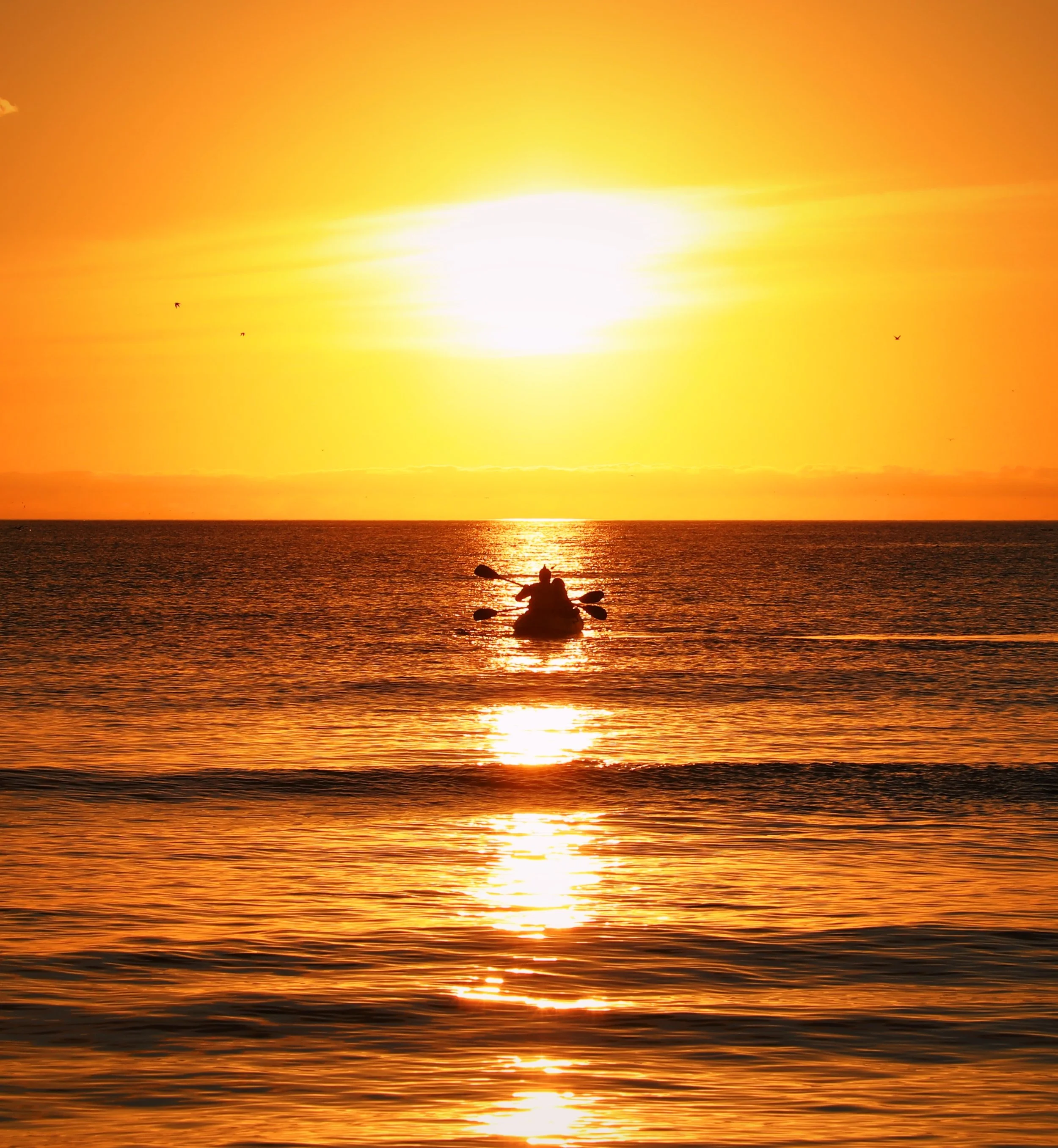 Kayaking Siesta Key, FL