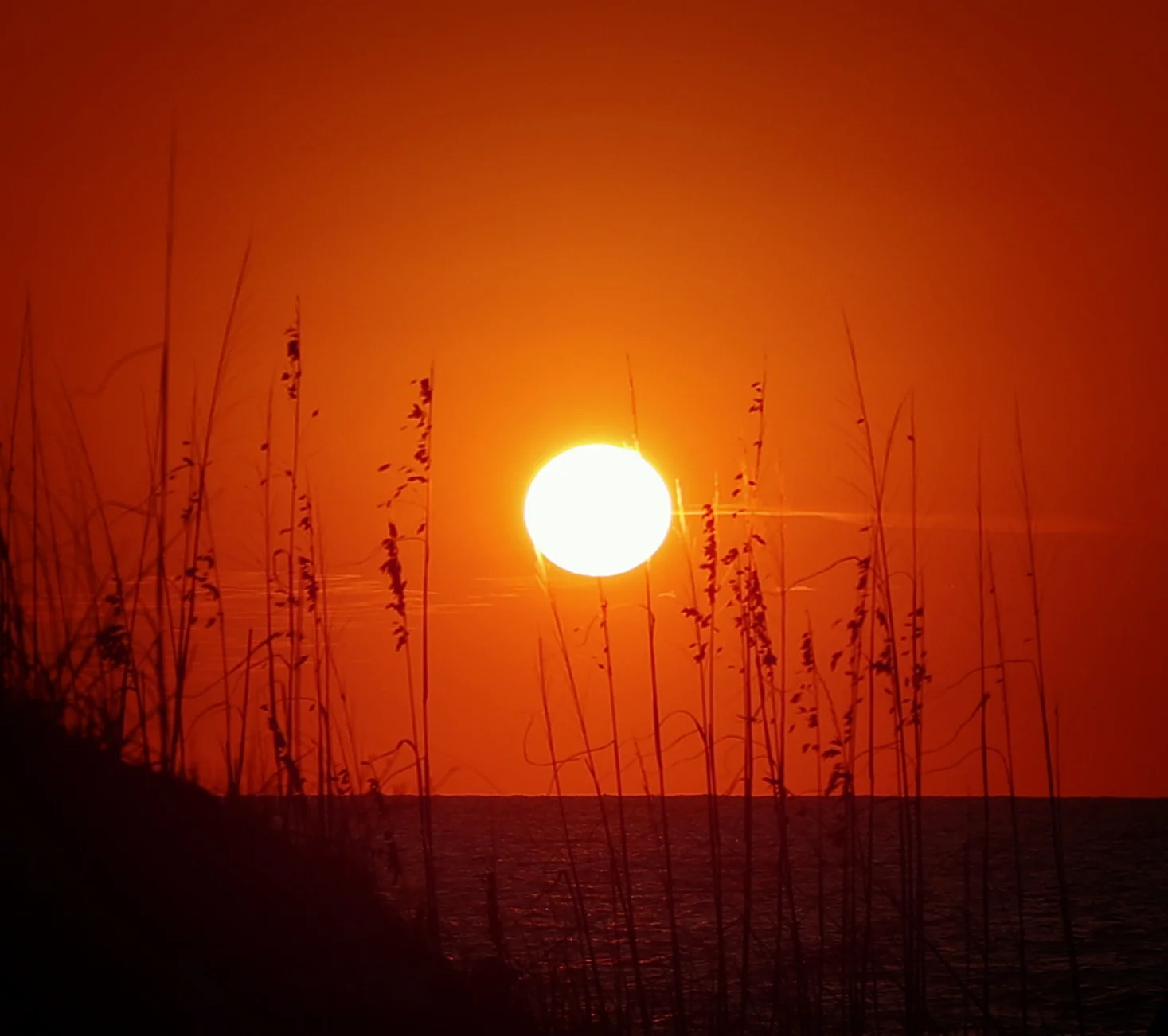 Sunset Siesta Key, FL