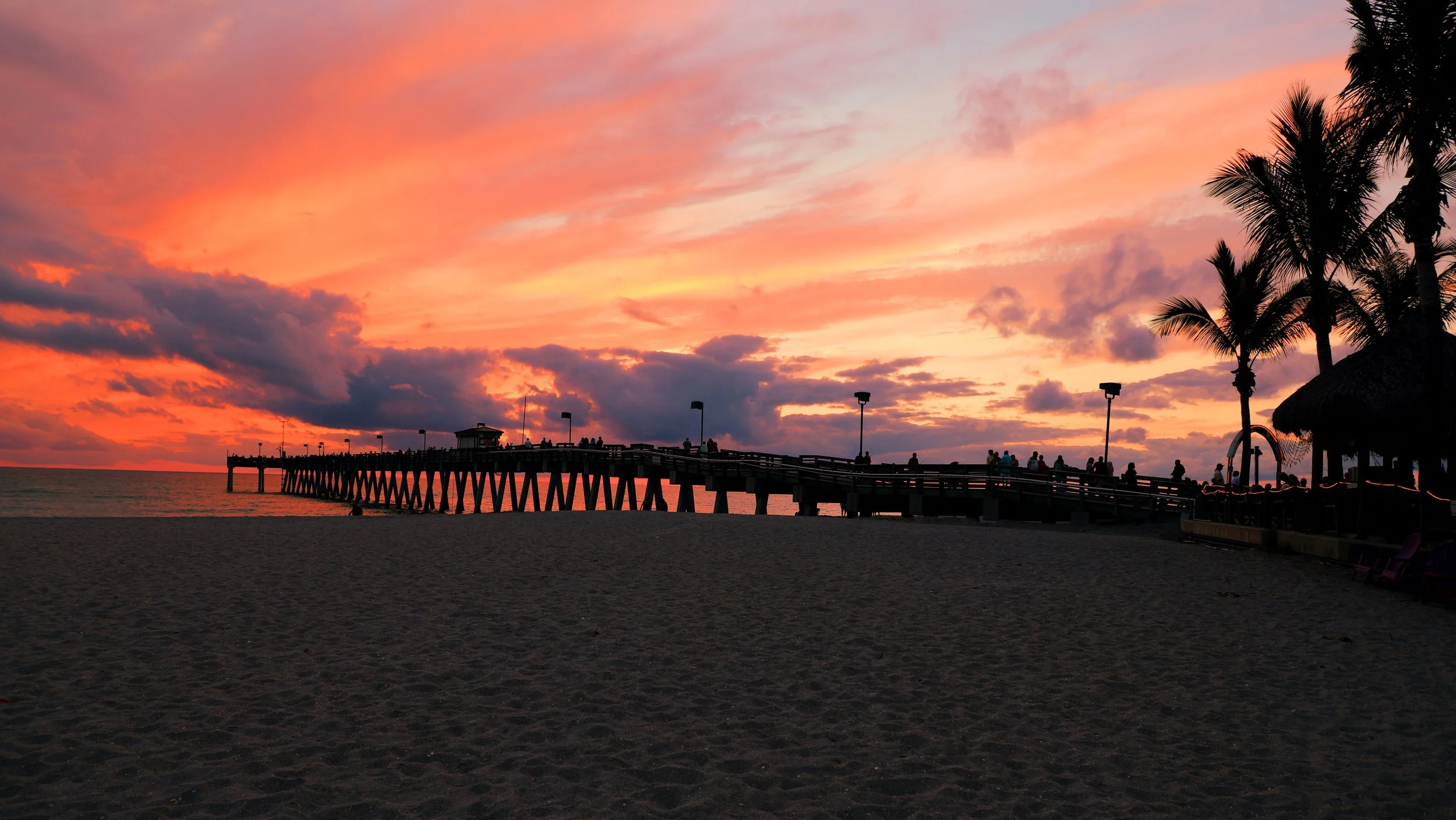 sharkey venice pier.jpg