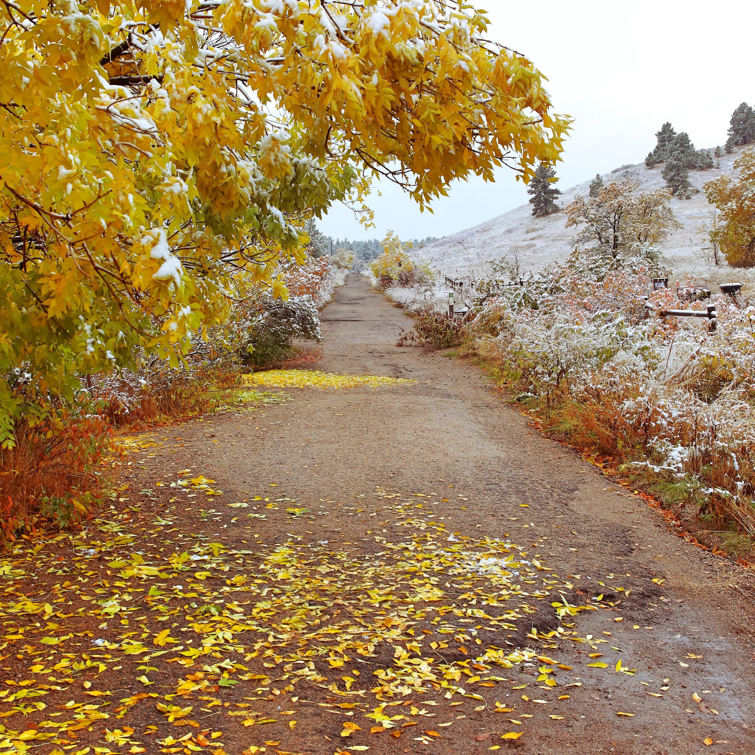 New 10-11-18 chautaqua park2.jpg