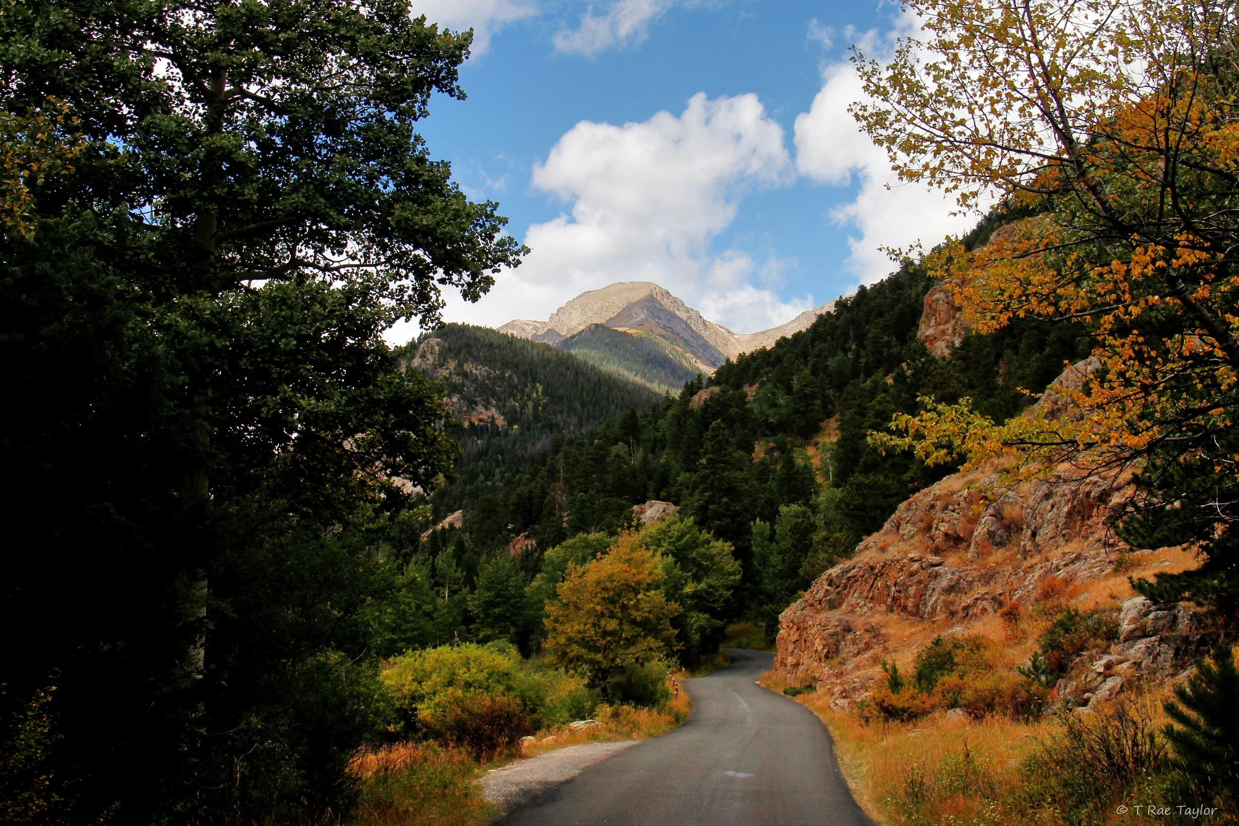 joo fall river road.2.text.jpg