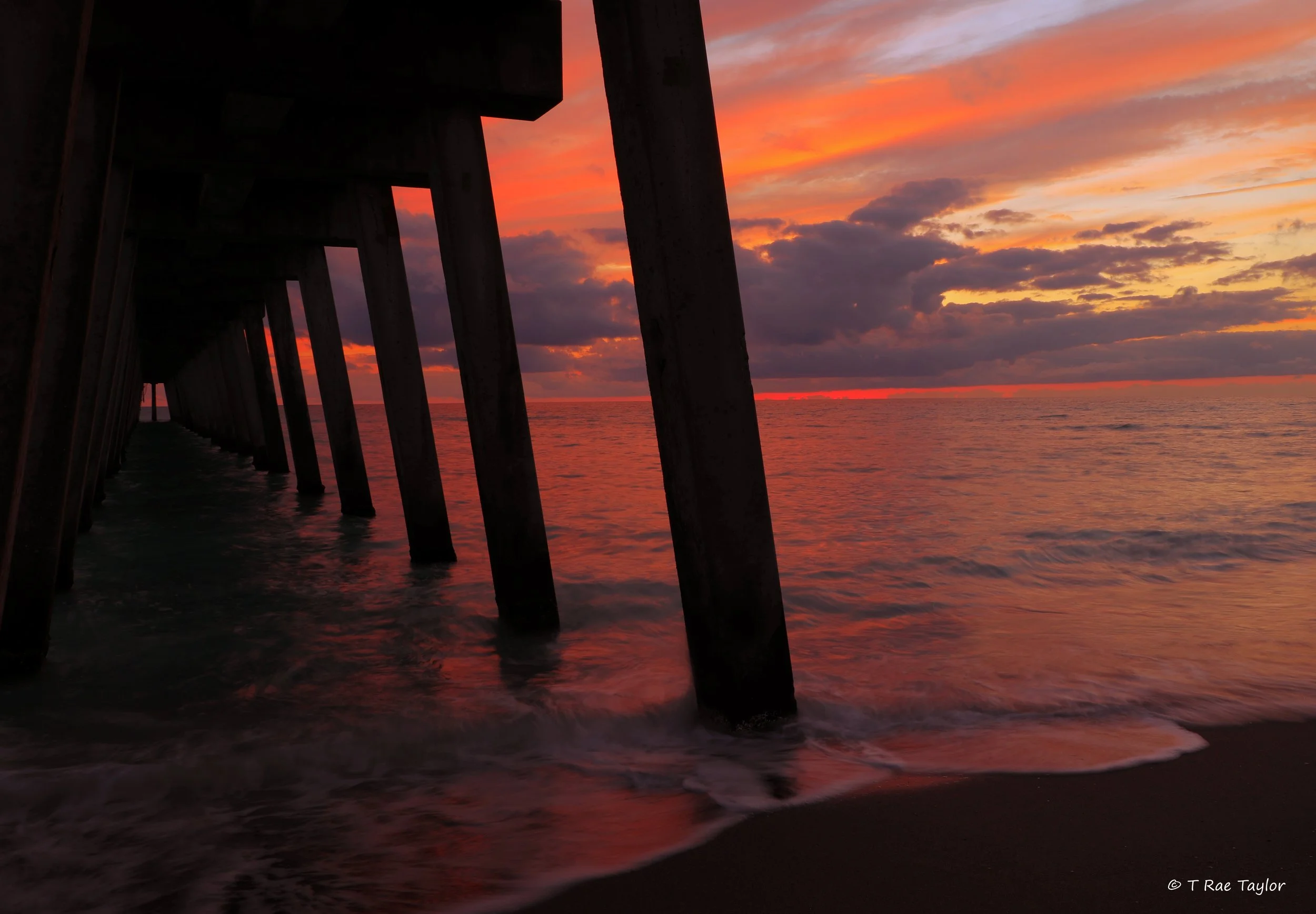 venice pier.text.jpg