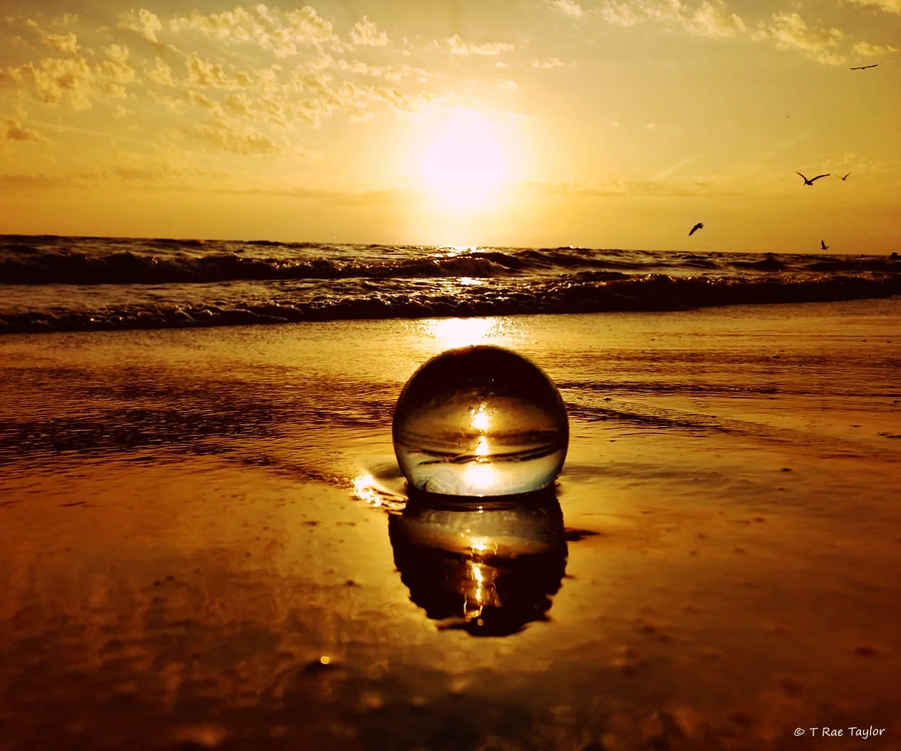 glass ball2.text.jpg