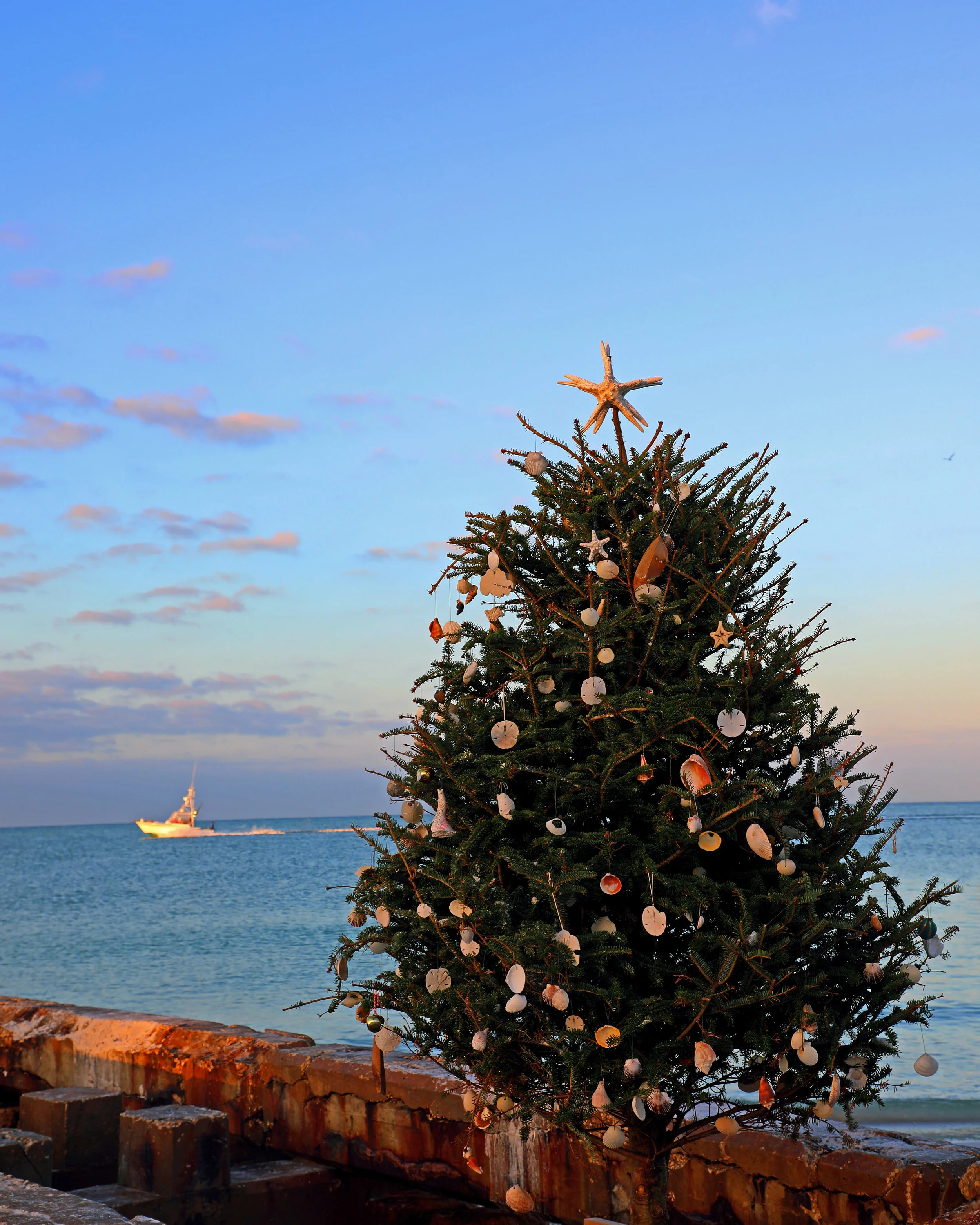12-27 tree_edited-1.jpg