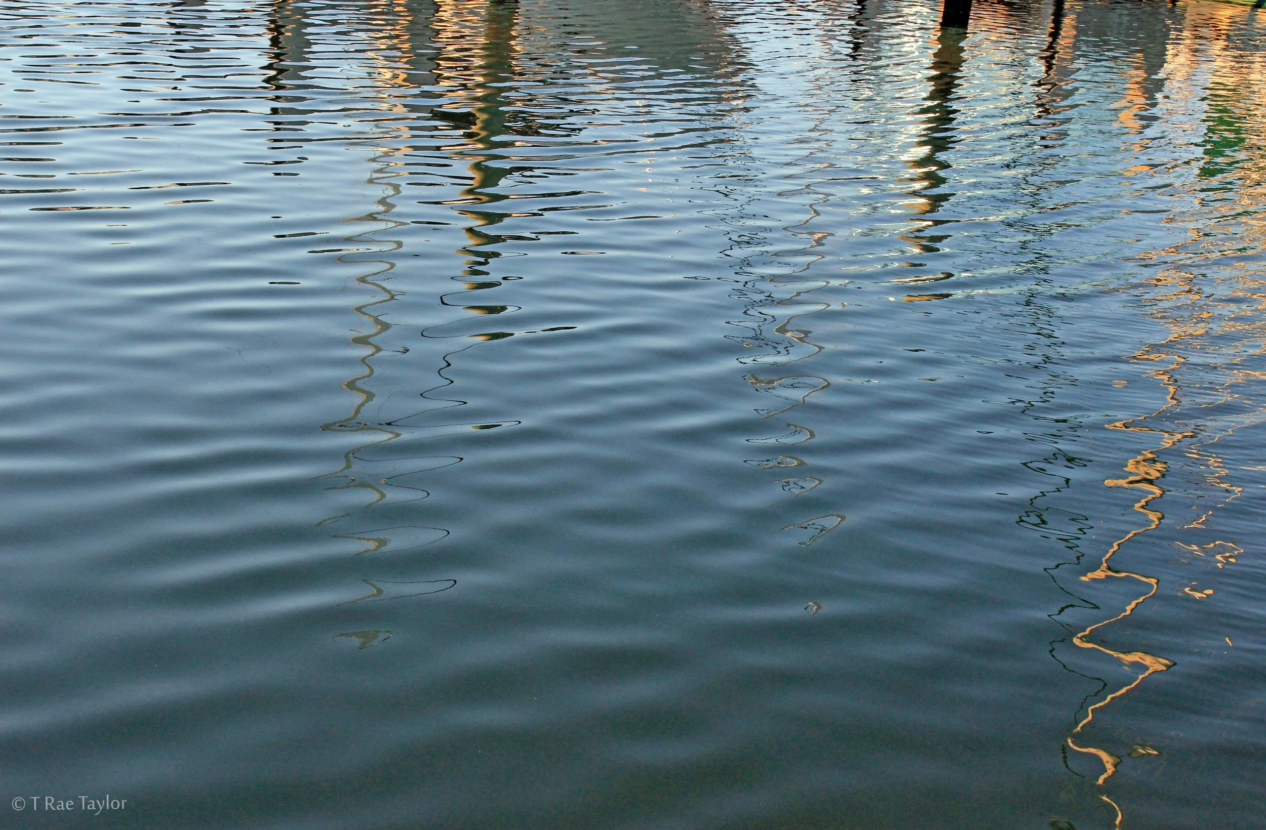 reflections text.jpg