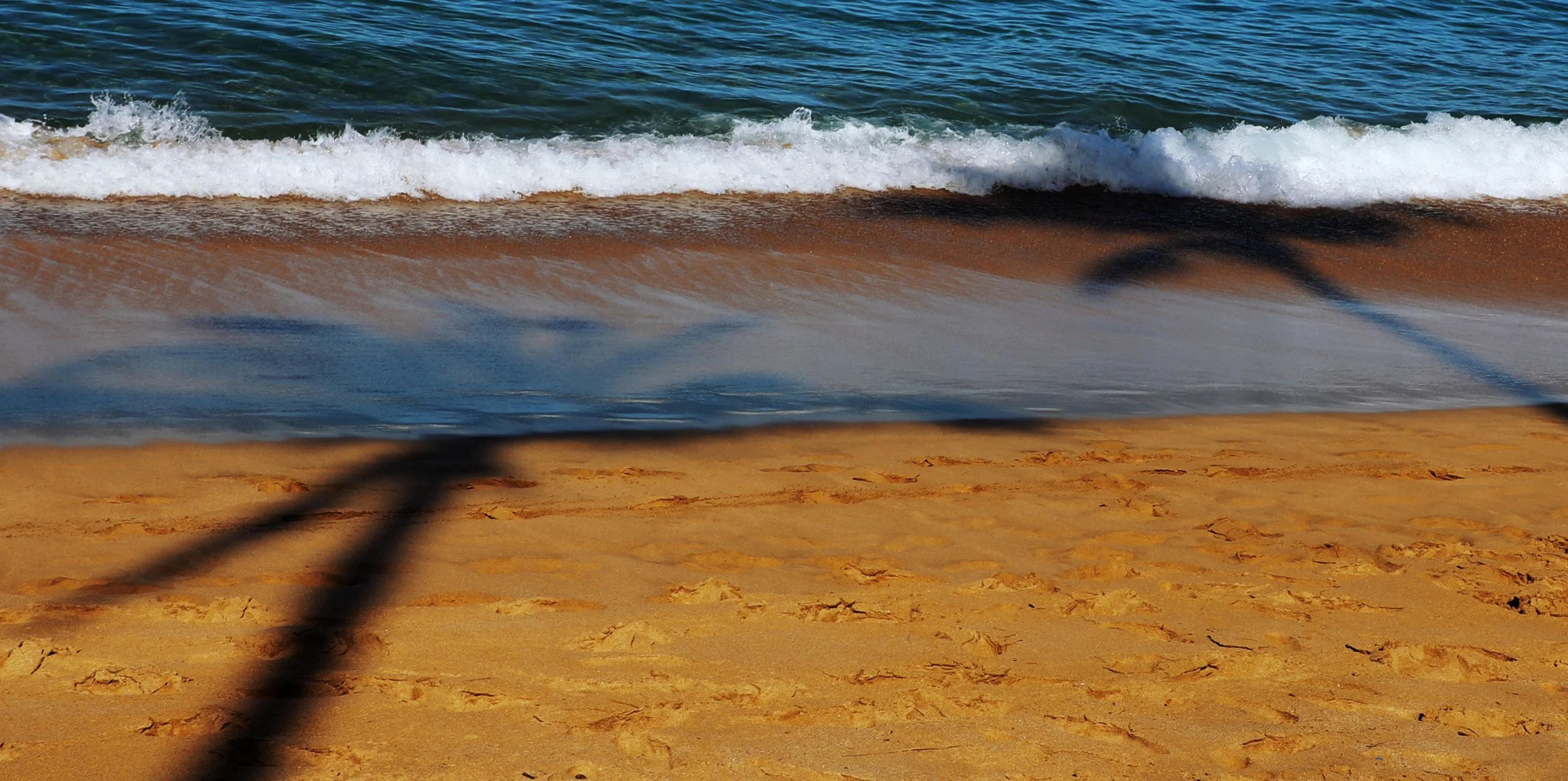 Palm shadow.jpg
