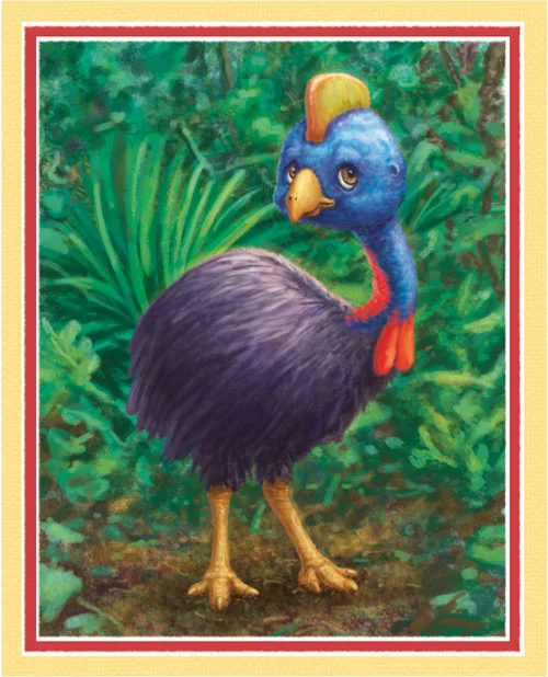 Melodee-1-Apsy-Cassowary-Color.jpg