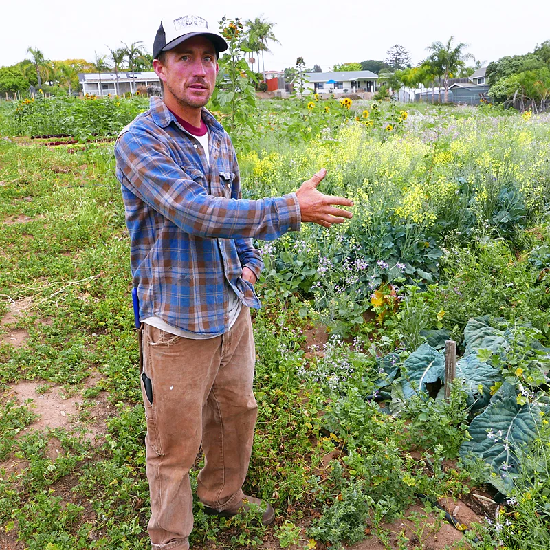 Luke-Girling-Cyclops-Farm.jpg