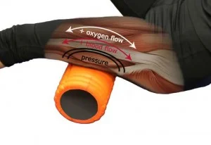 Foam rolling stimulates blood flow and oxygen delivery to the muscle.