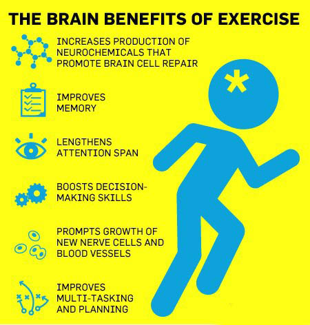 Positively impacts brain function.