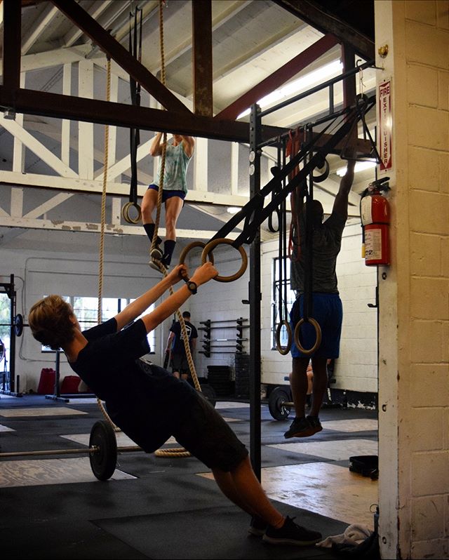 Rope climbs, ring-rows, pull-ups.⠀⠀⠀⠀⠀⠀⠀⠀⠀
⠀⠀⠀⠀⠀⠀⠀⠀⠀
@melissagilleland87 @silas_pie ⠀⠀⠀⠀⠀⠀⠀⠀⠀
⠀⠀⠀⠀⠀⠀⠀⠀⠀
#TheArk352 #TheArkWeightlifting #TheArkFitness #TheArkNutrition #StrengthAndConditioning #Training #BestofGainesville #FitnessMotivation #GetFit #