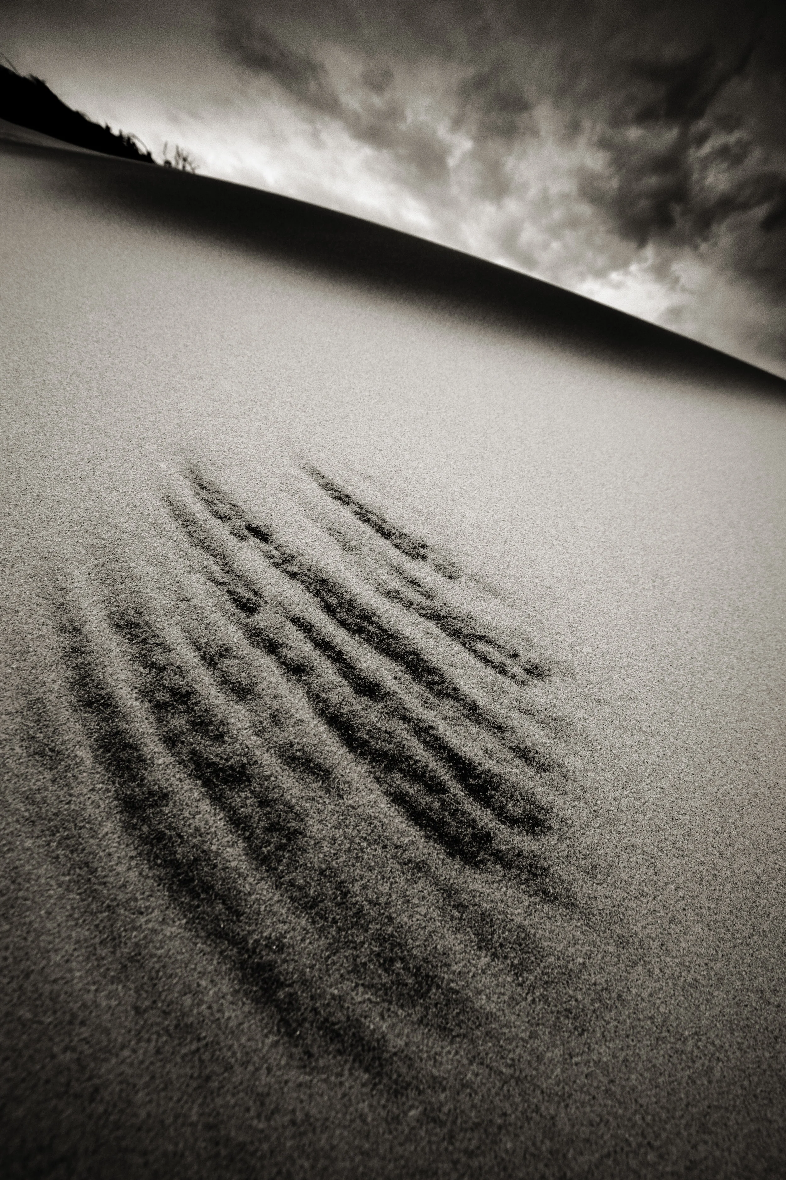 2427-42B BKF RGB Bickford_AfterTheStormBOOK.42.JPG