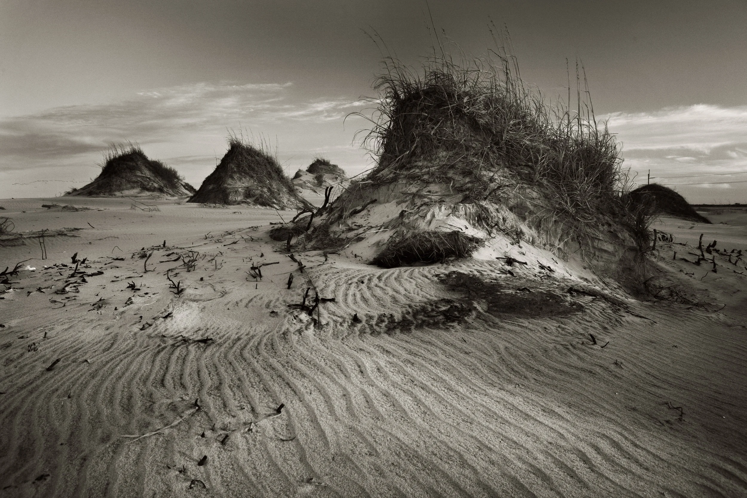 IMG_0525 copy2 copy.JPG