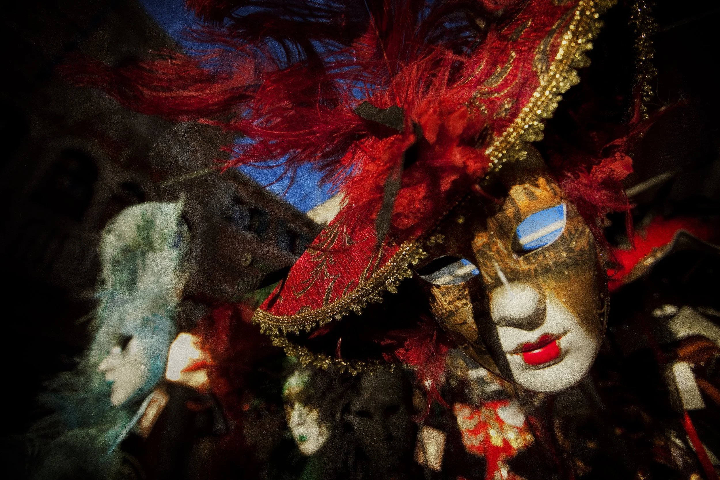 Bickford_CarnivalVENICE_2012.6797 copy.jpg