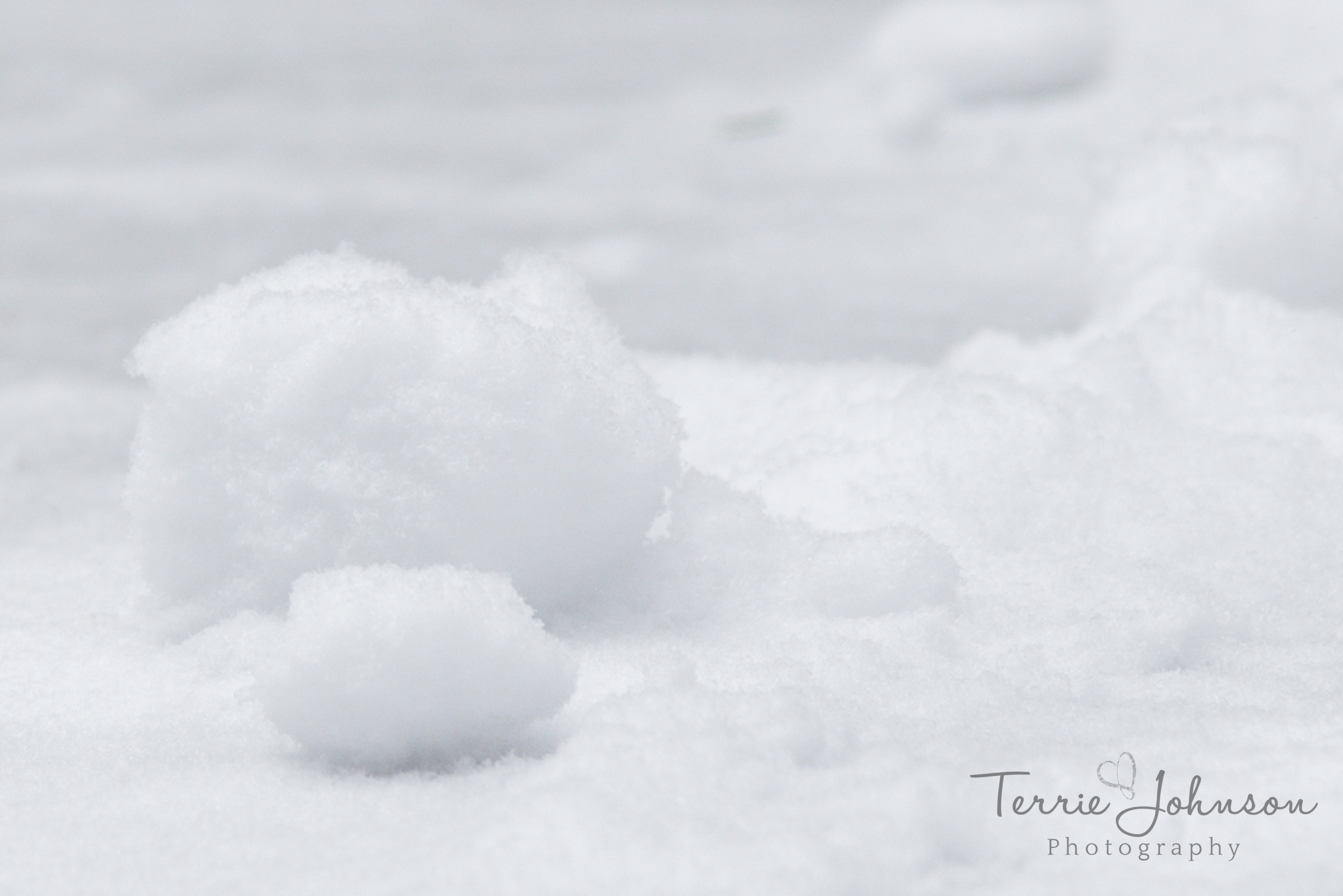 snow.png