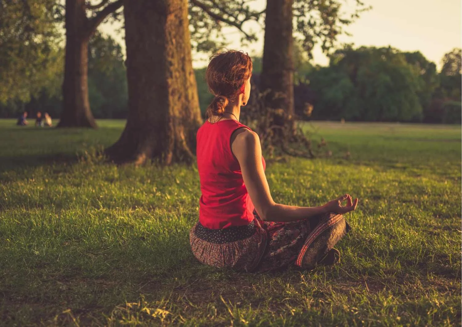 Learn How To Meditate