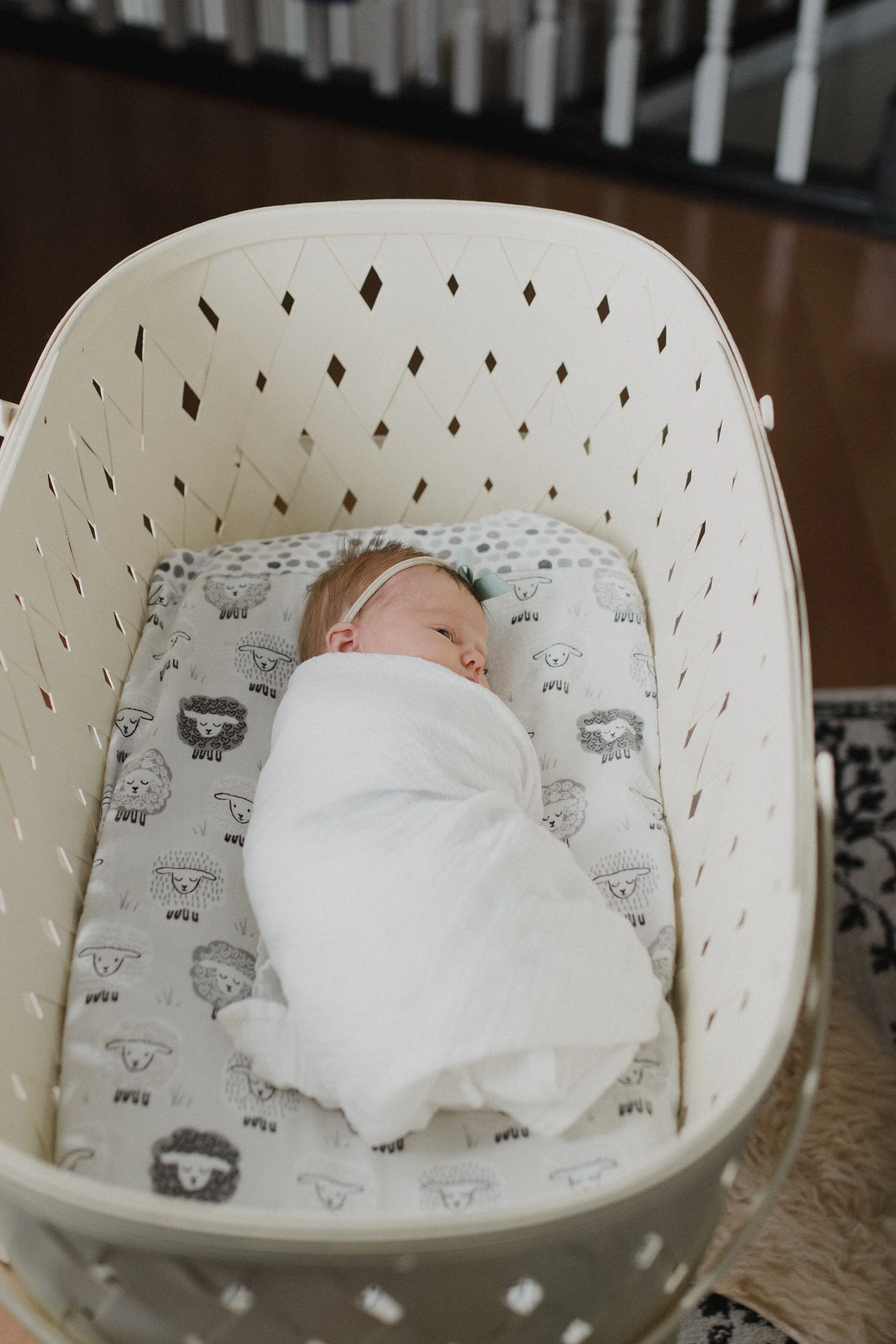 Adelyn_Koep_Newborn_95.JPG