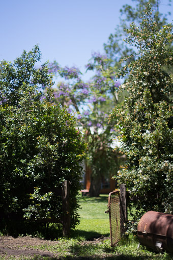 Wandering through the gardens of Avelon farm