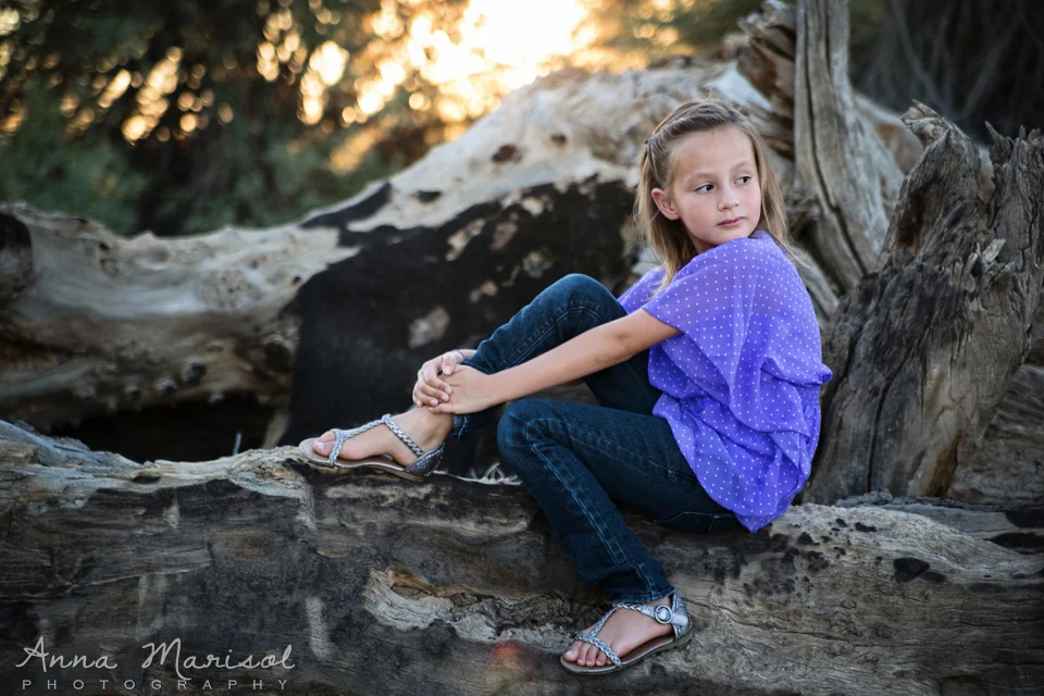 Goodyear Family Photographer