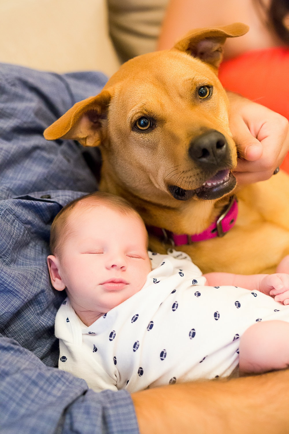 goodyear newborn photographer