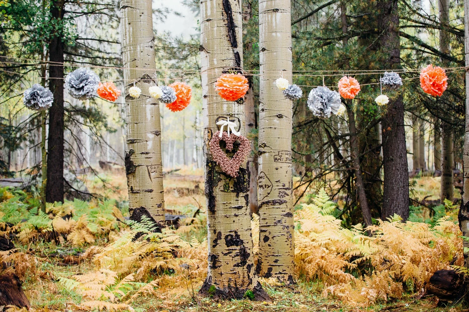 Molly + Bryan - Flagstaff, AZ Wedding