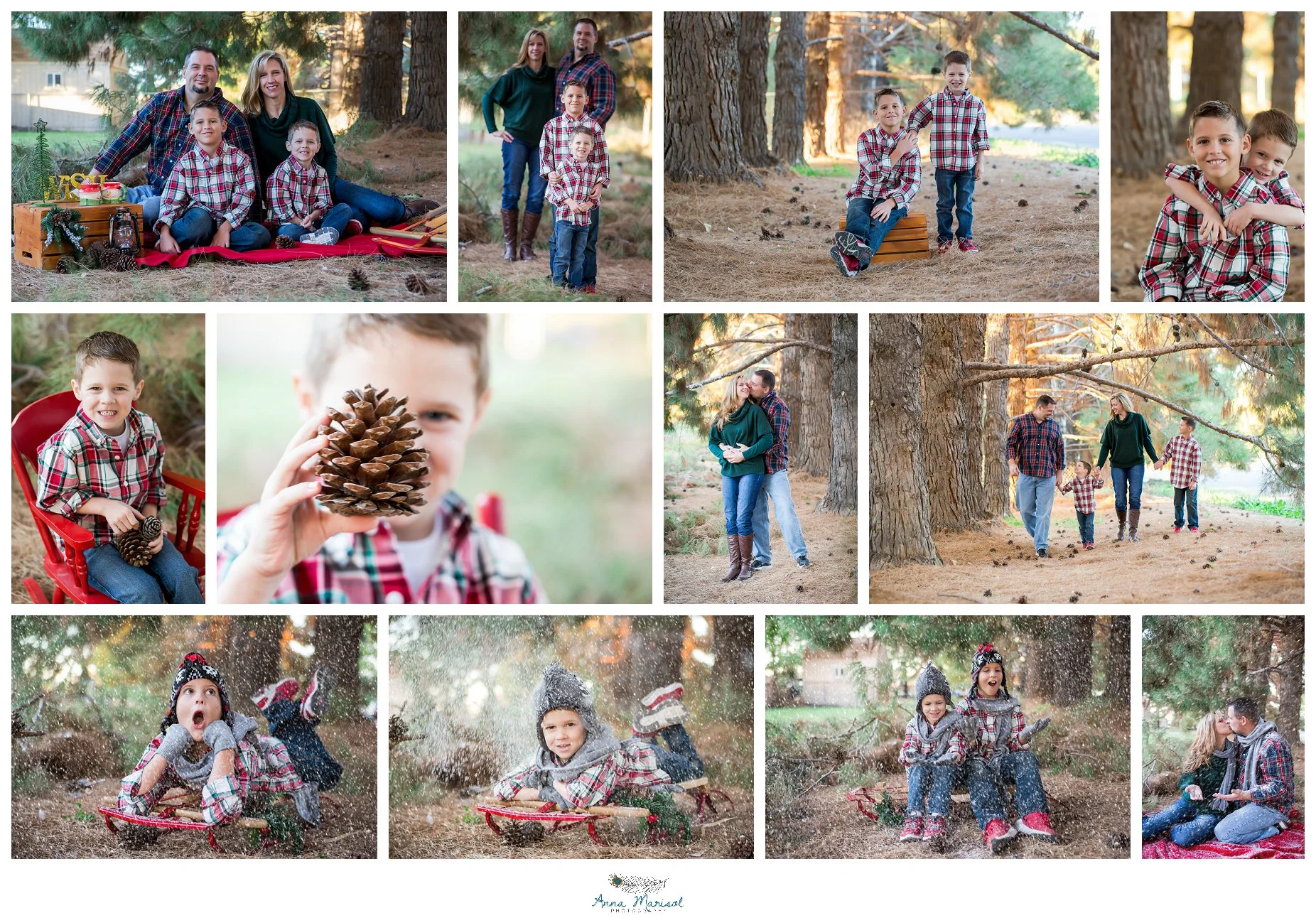 Goodyear Pine Trees - Goodyear.jpg