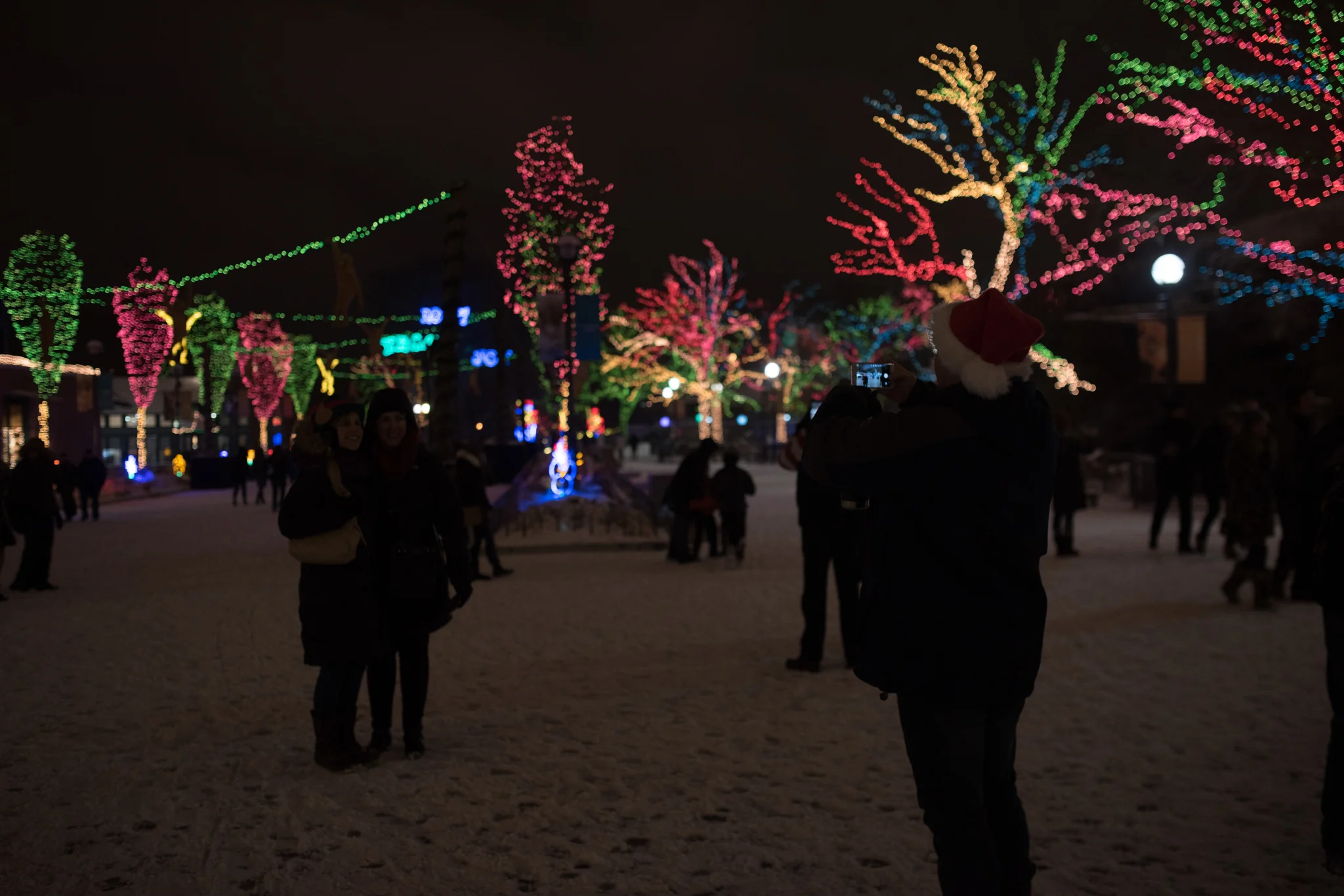 DSC_6987.jpg