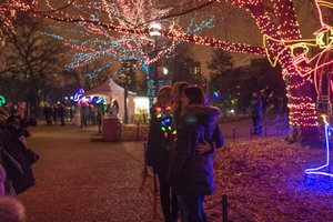 Cleveland Holiday Lights Trolley Tour | BYOB Festive Ride Through the